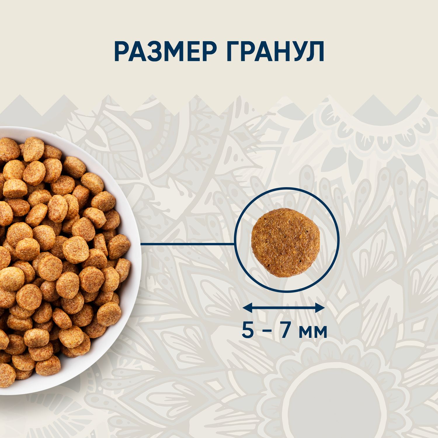 Сухой корм VIDA NATIVA для котят из курицы с черникой 320 г
