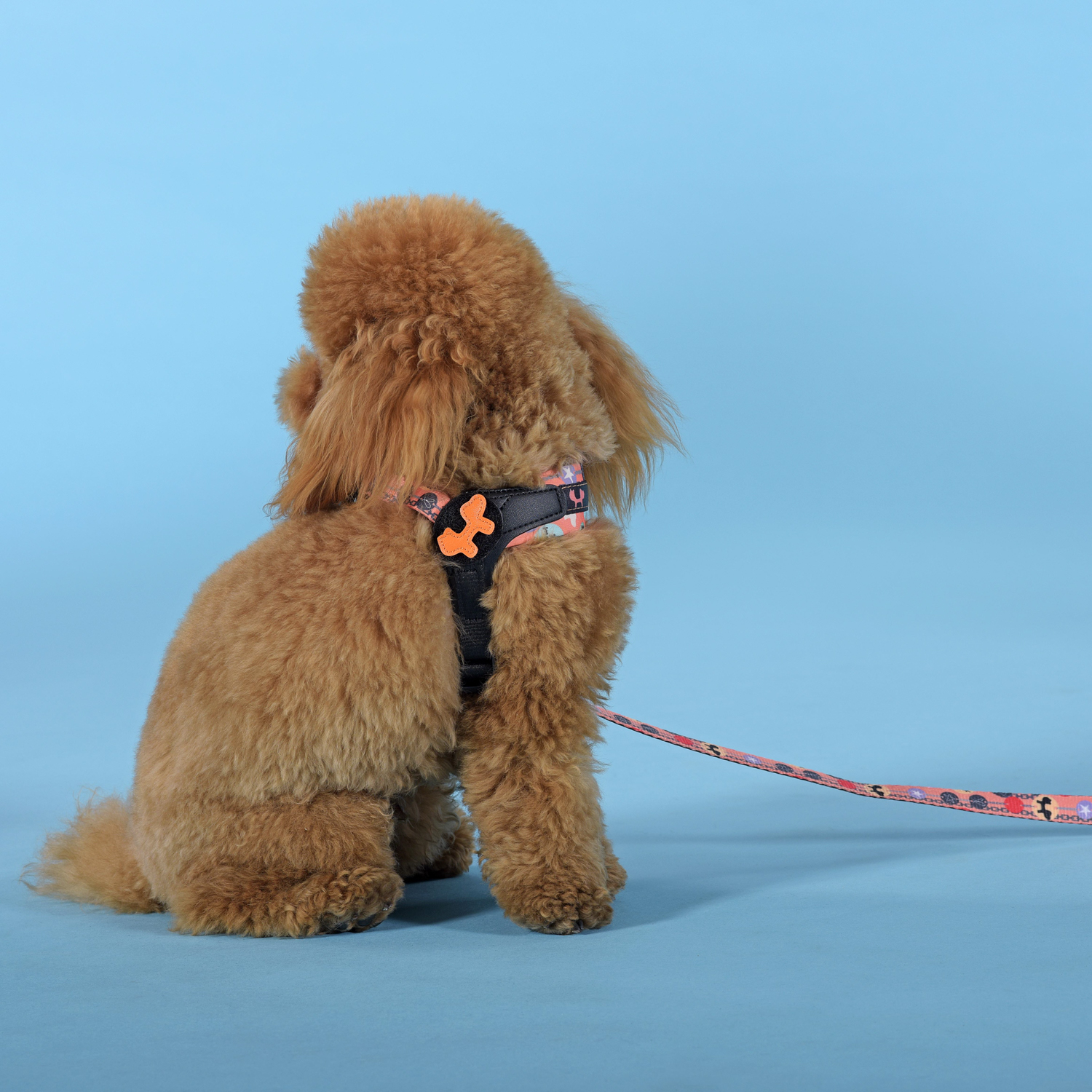 Шлейка United Pets для собак Complete me Forever 3,5 x 48-64 см, оранжевая с рисунком СКИДКА 30%