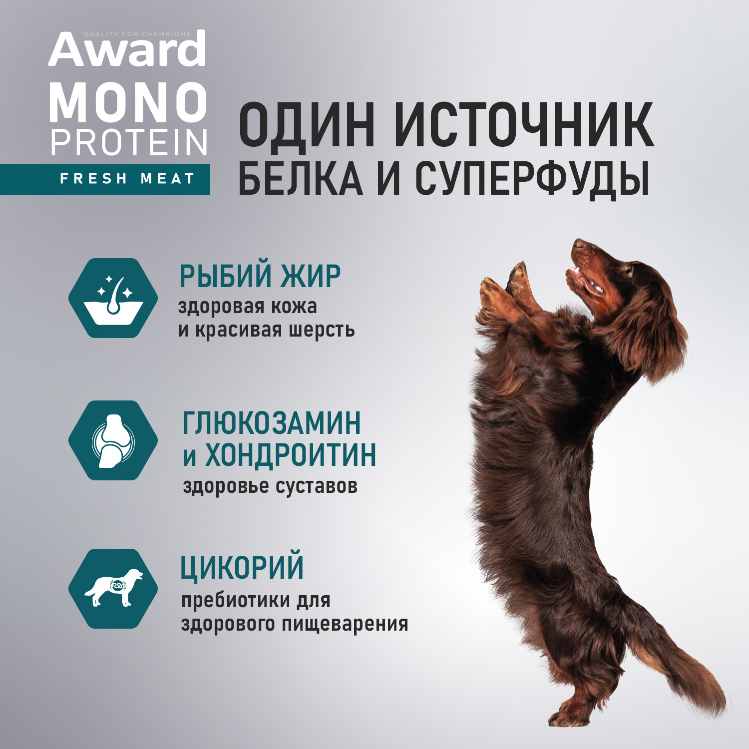 Влажный корм AWARD Monoprotein для взрослых собак паштет из лосося со шпинатом 100г