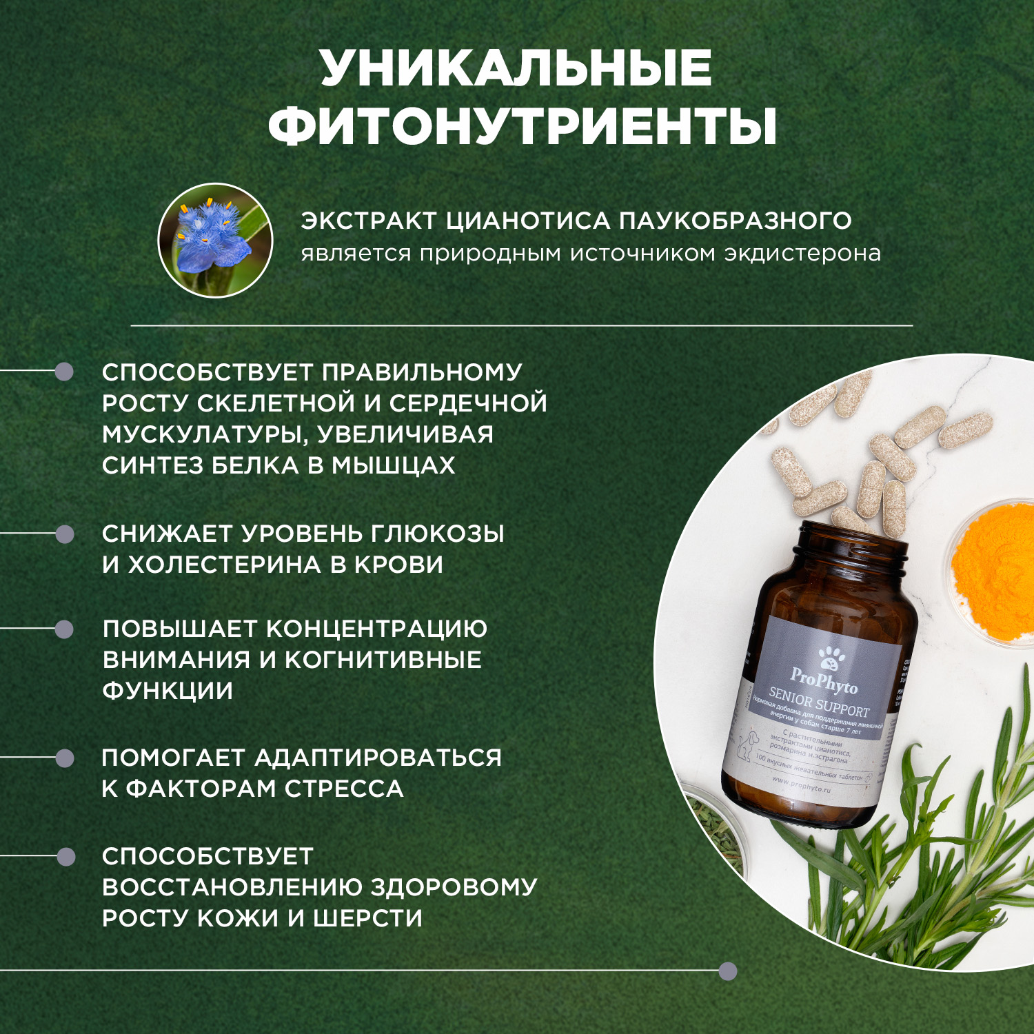 ProPhyto Сеньор Саппорт, 30 таблеток
