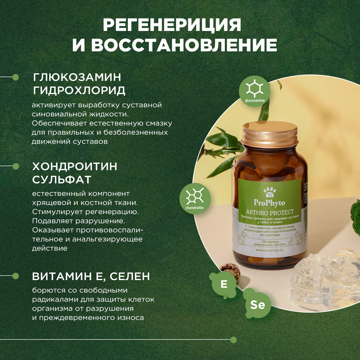 ProPhyto Артро Защита, 30 таблеток
