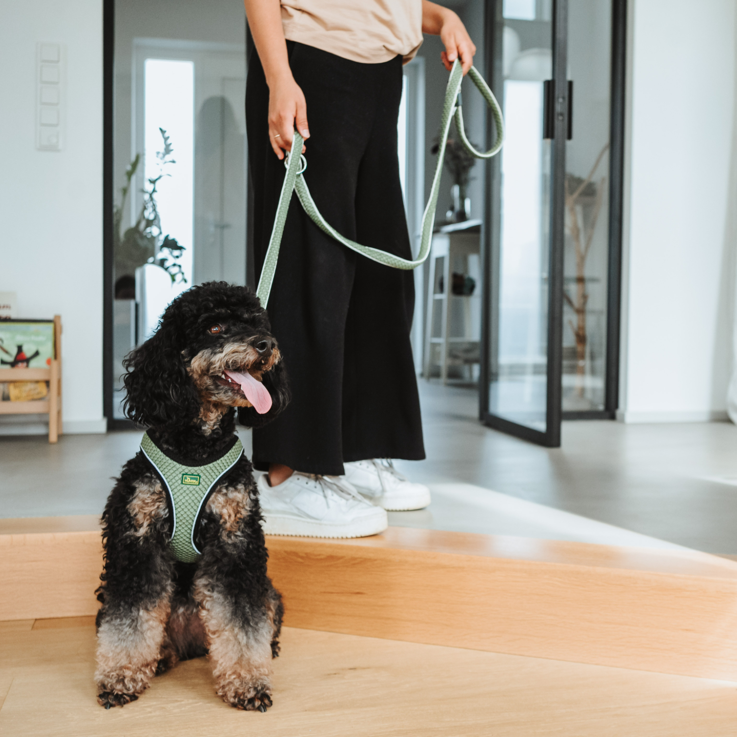 Hunter шлейка для собак Hilo Comfort 31-33 см, сетчатый текстиль, оливковая СКИДКА 40%