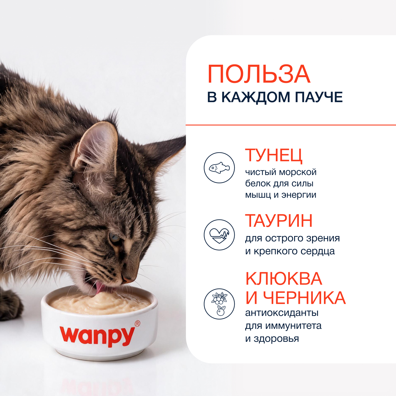 Wanpy Cat Лакомство для кошек «нежное пюре» из тунца с ягодами 70 г