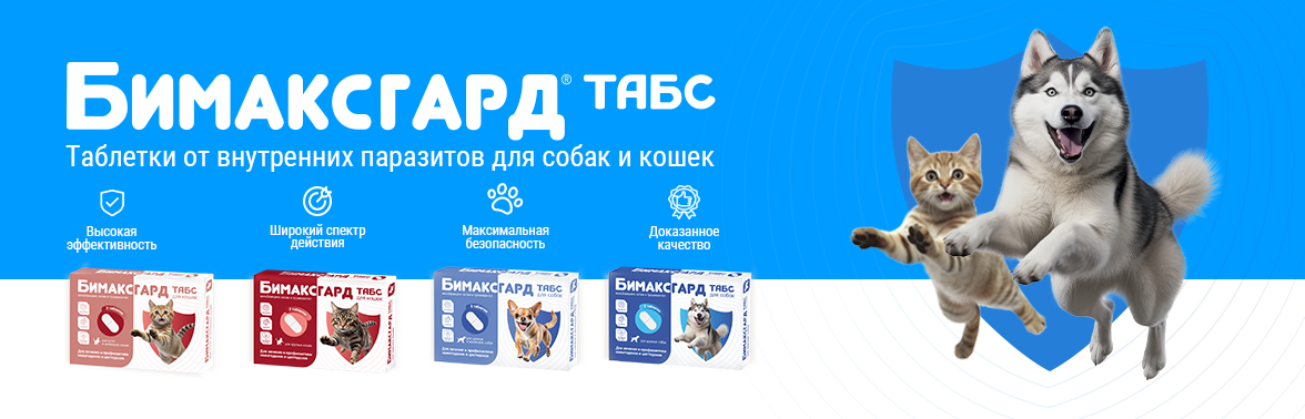 Баннер