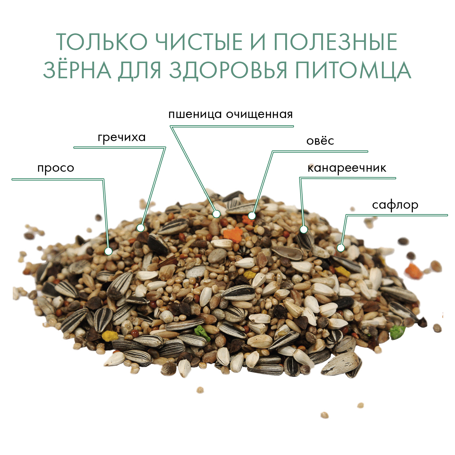 FIORY корм для средних попугаев Classic 650 г