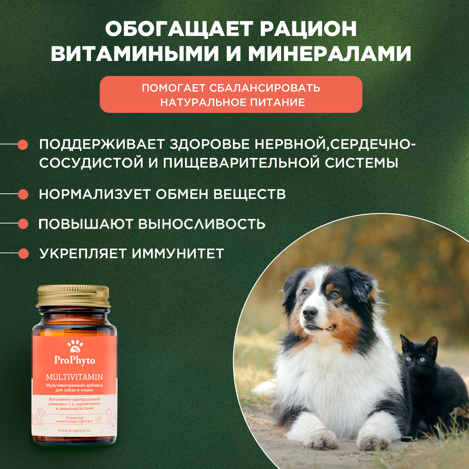 ProPhyto Мультивитамин, 70 таблеток