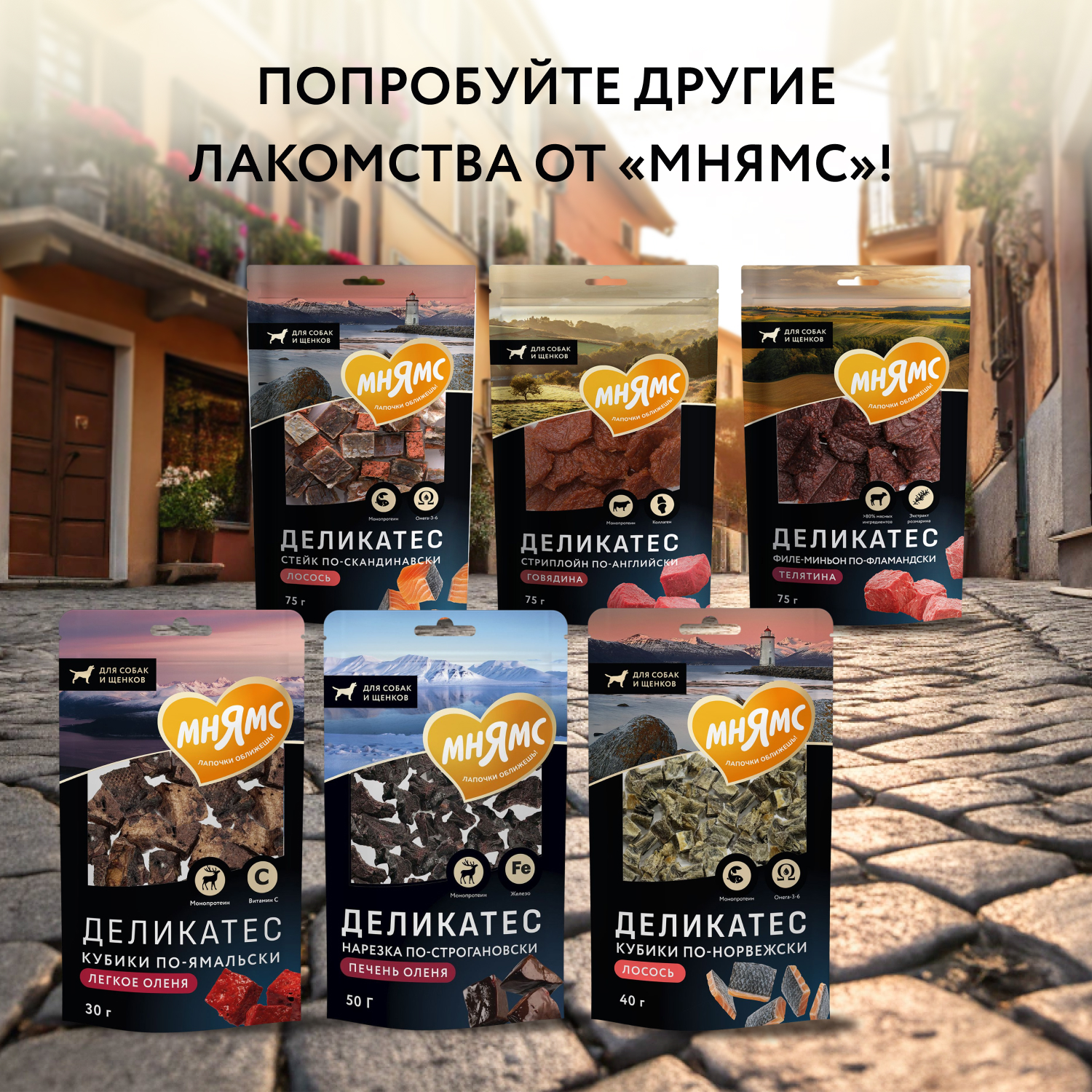 Лакомство Мнямс Деликатес Пармская косточка для собак размер S 35 г