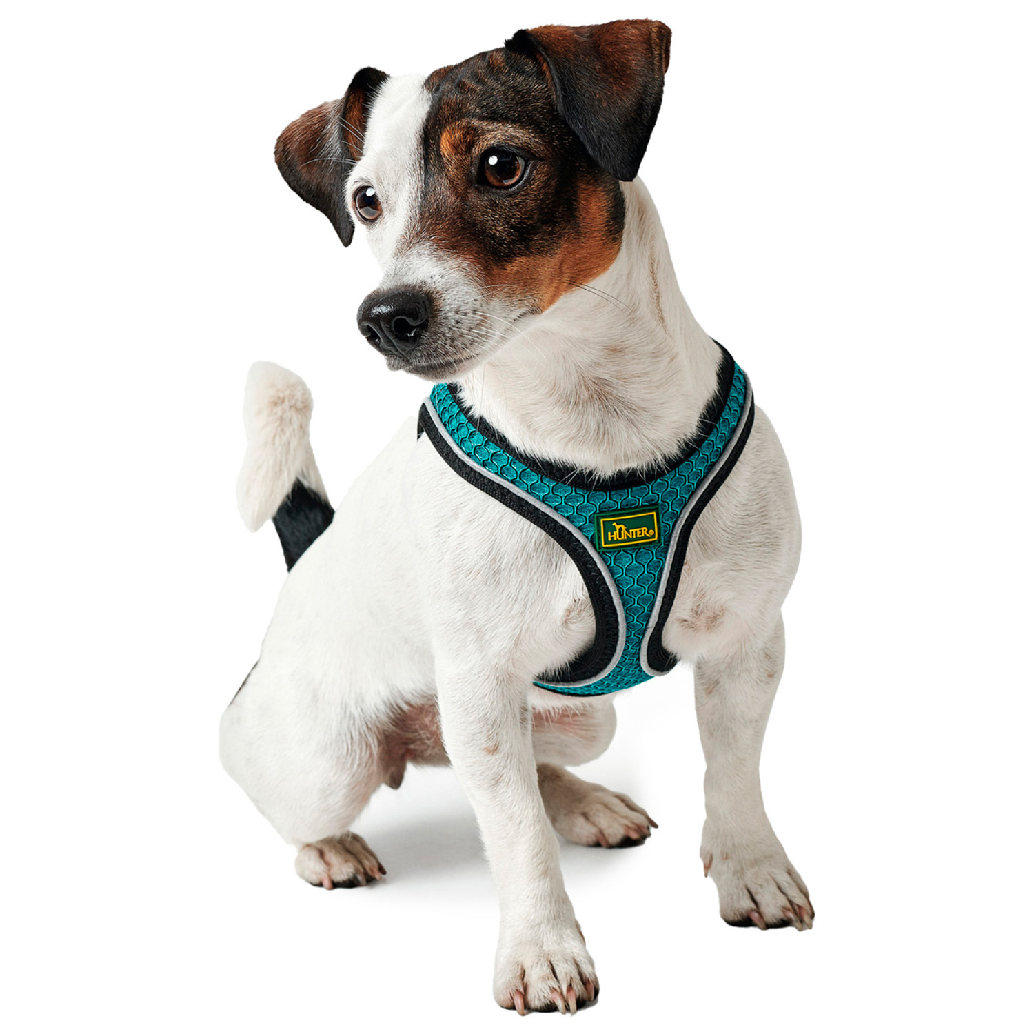 Hunter шлейка для собак Hilo Comfort 48-58 см, сетчатый текстиль, бирюзоваяя