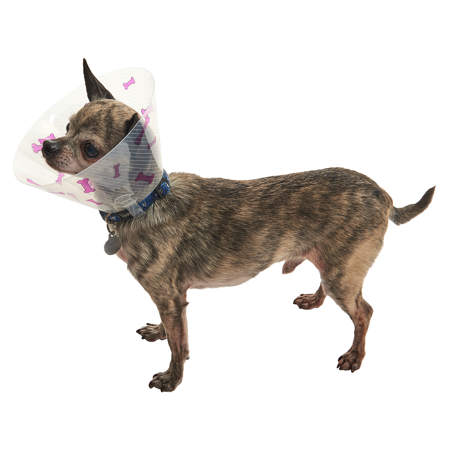 KRUUSE (из наличия) Воротник с дизайном (фиолетовые кости) 10 см СКИДКА 80%