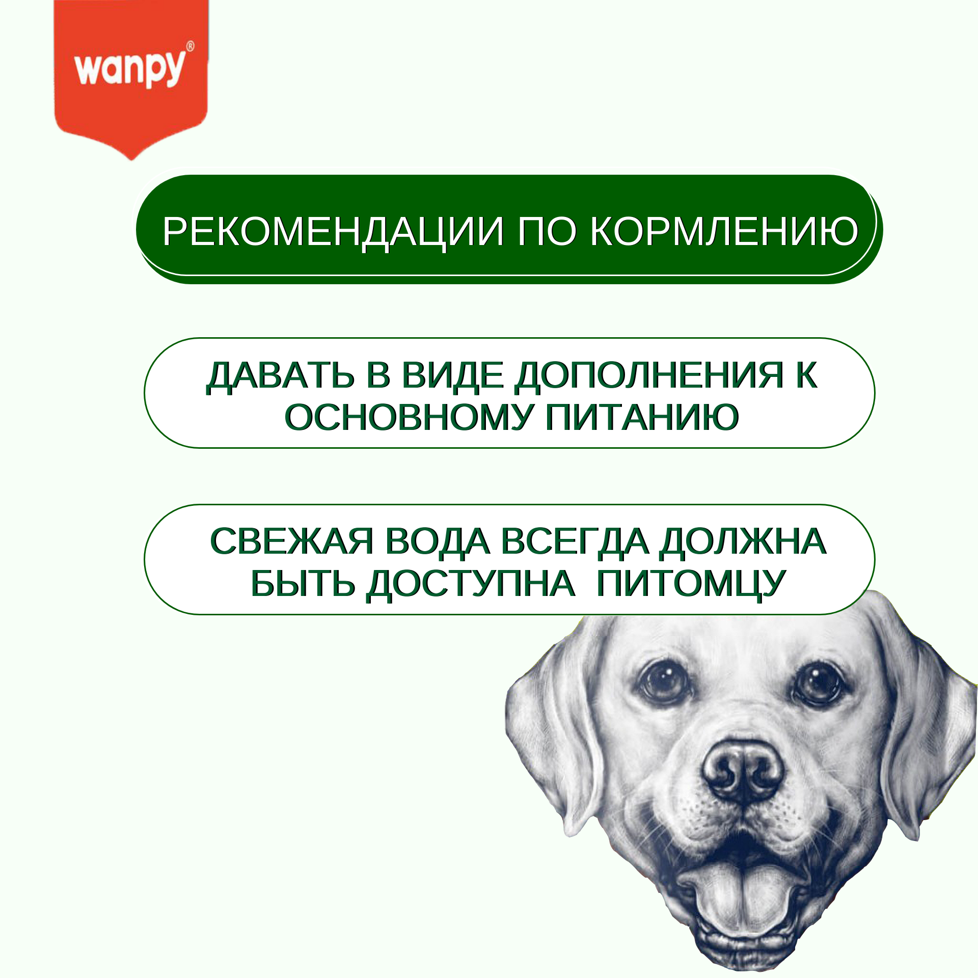 Wanpy Dog Лакомство для собак "Зубные щетки со вкусом говядины" 100 г