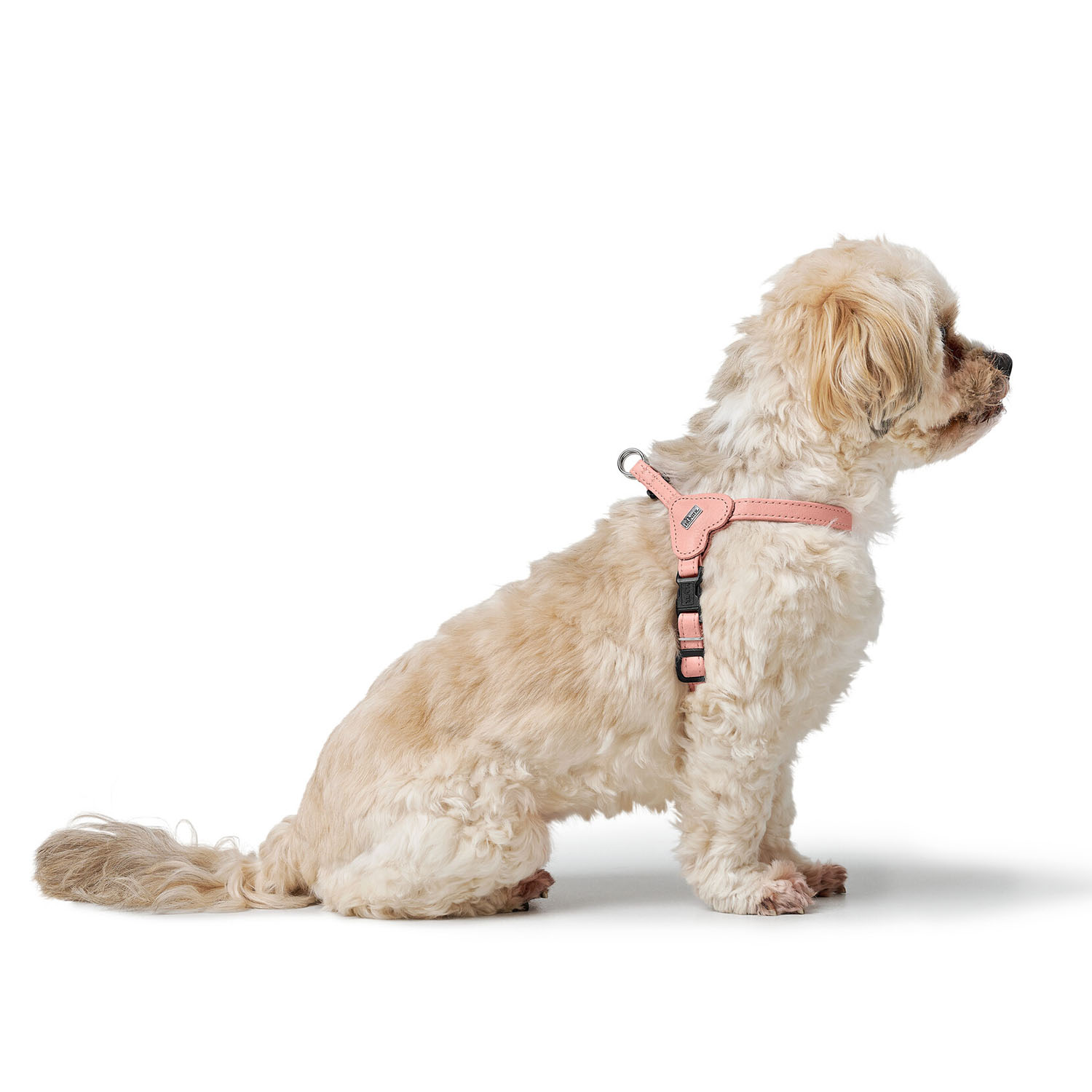 Hunter шлейка для собак Soho Mini XXS-XS (28-34 см), натуральная кожа, розовая