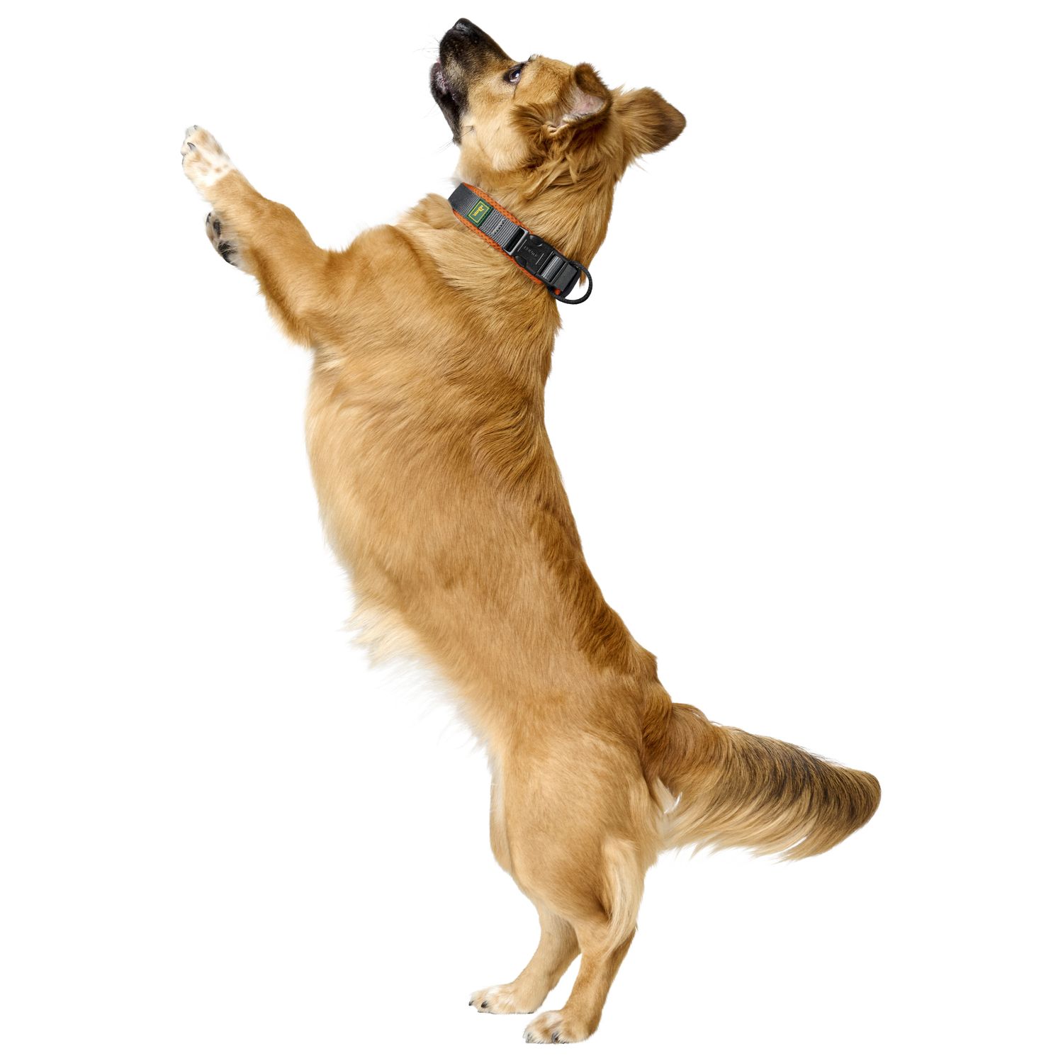 Ошейник Hunter Maldon для собак 55-65 см, размер XL, оранжевый/серый