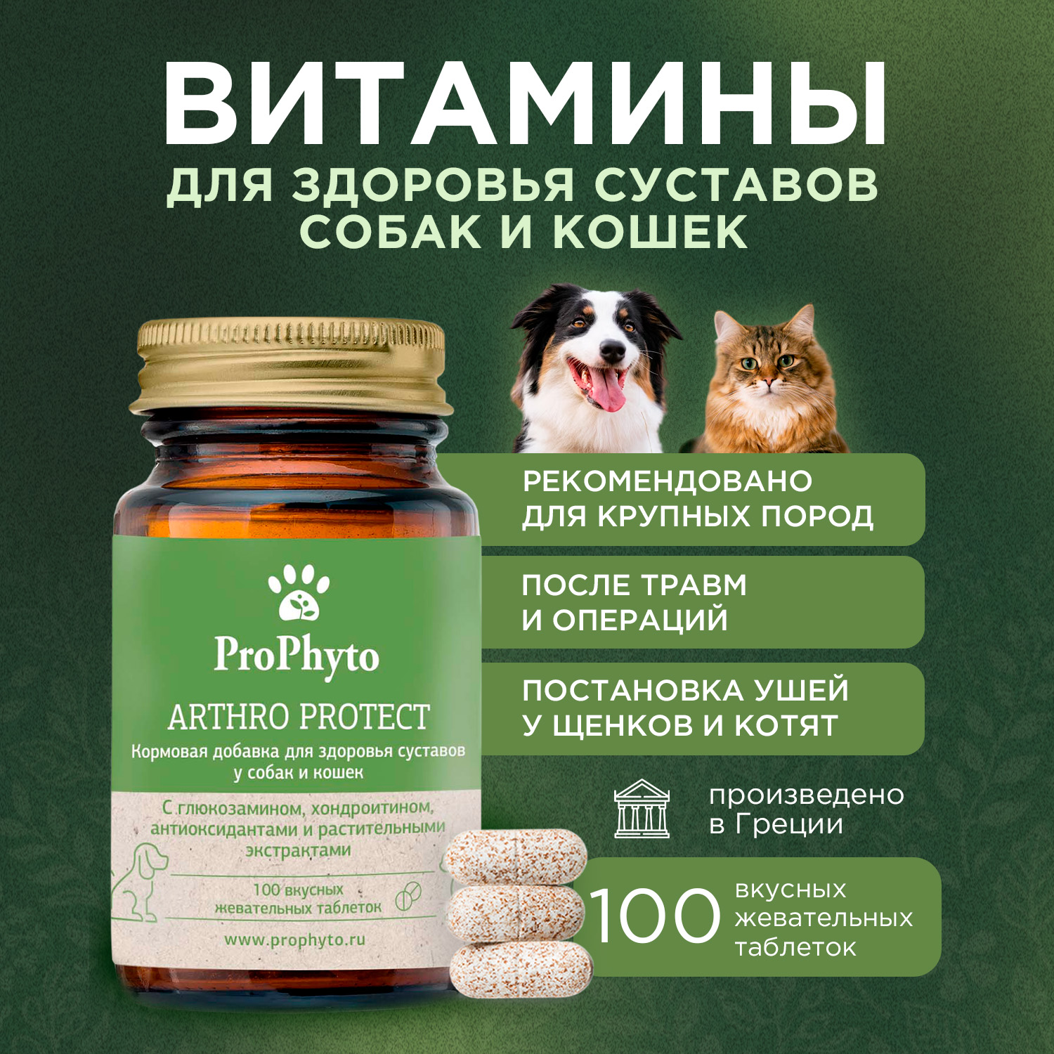 ProPhyto Артро Защита, 100 таблеток