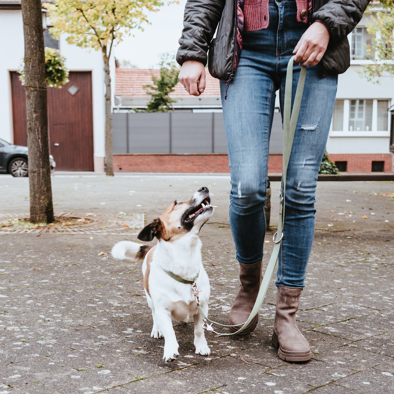 Hunter ошейник для собак ALU-Strong Inari S (30-45 см) нейлон с металлической застежкой оливковый