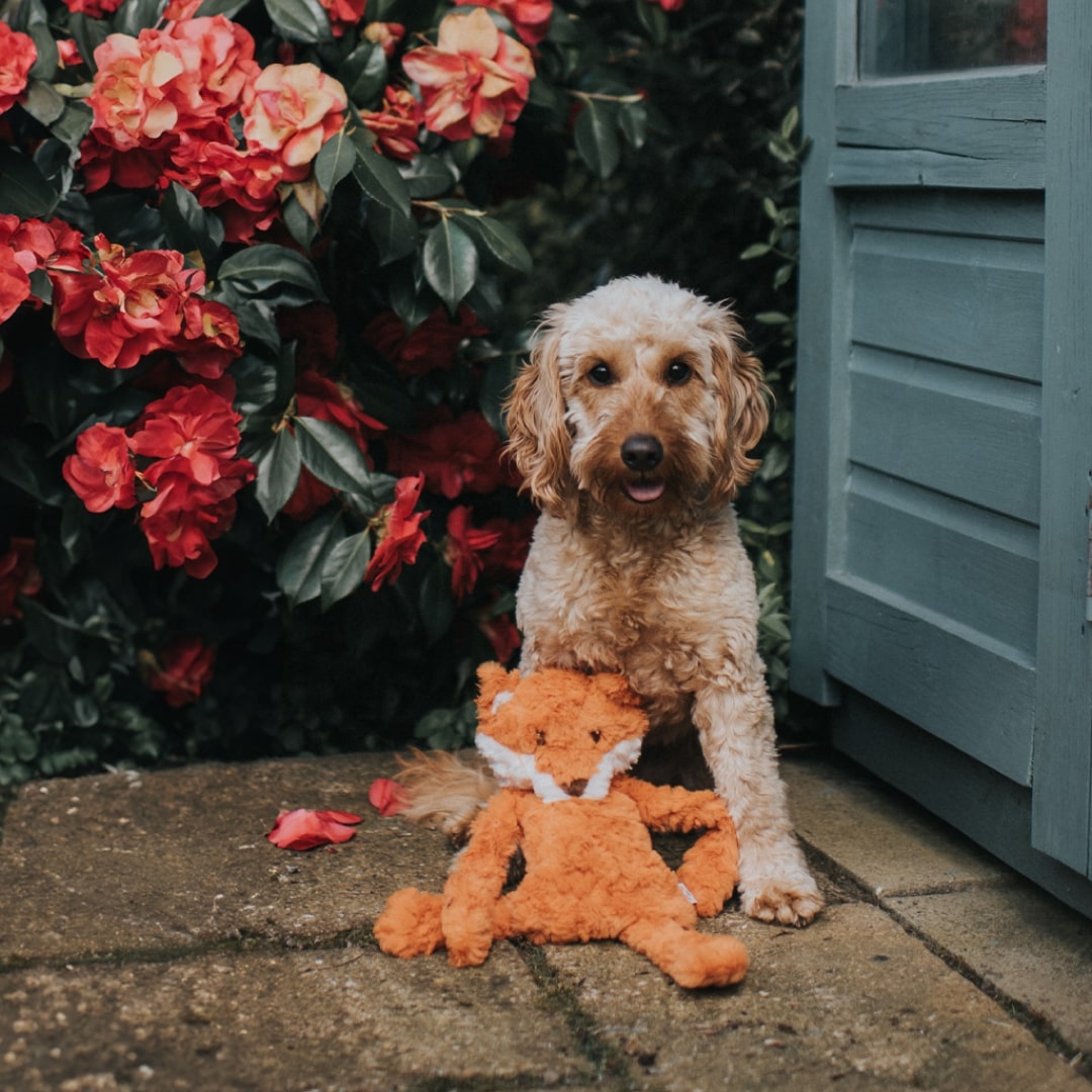 Игрушка MY DOG для собак Лиса-шуршалка с кармашком 40 см