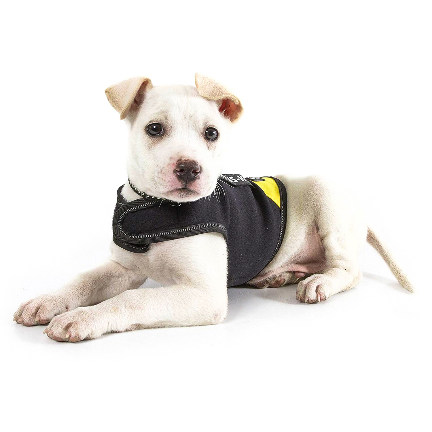 JULIUS-K9 жилет для собак Neoprene IDC® S (51-64см / длина 40см), черно-желтый СКИДКА 50%