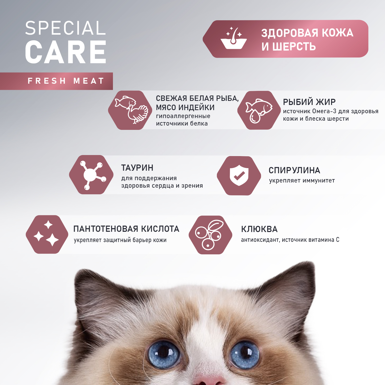 Сухой корм AWARD SPECIAL CARE Sensitive Skin&Coat для взрослых кошек для здоровой кожи и шерсти со свежей белой рыбой 1,5кг