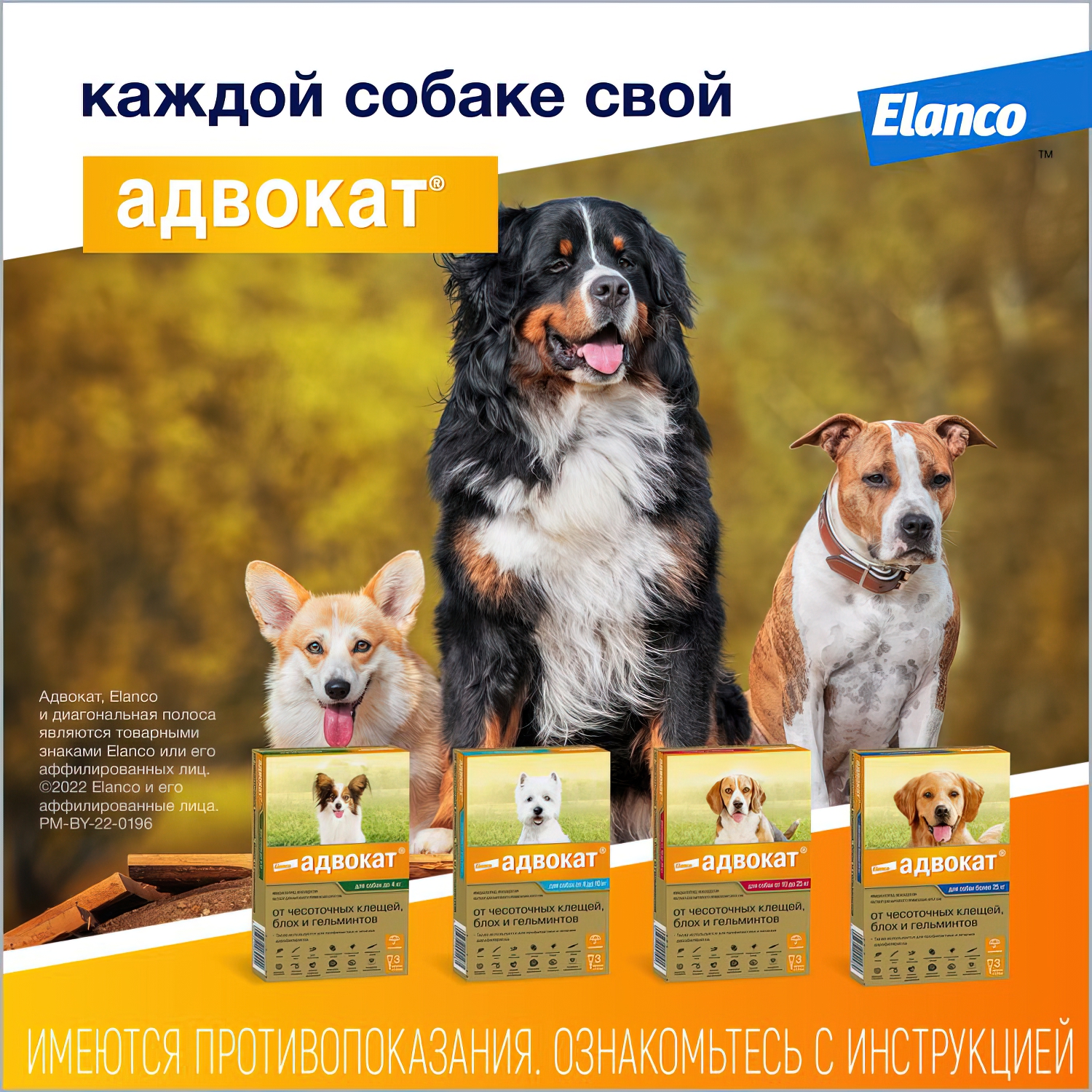 Bayer Адвокат 250 капли для собак 10-25 кг от чесоточных клещей, блох и гельминтов (3 пипетки х 2,5 мл)