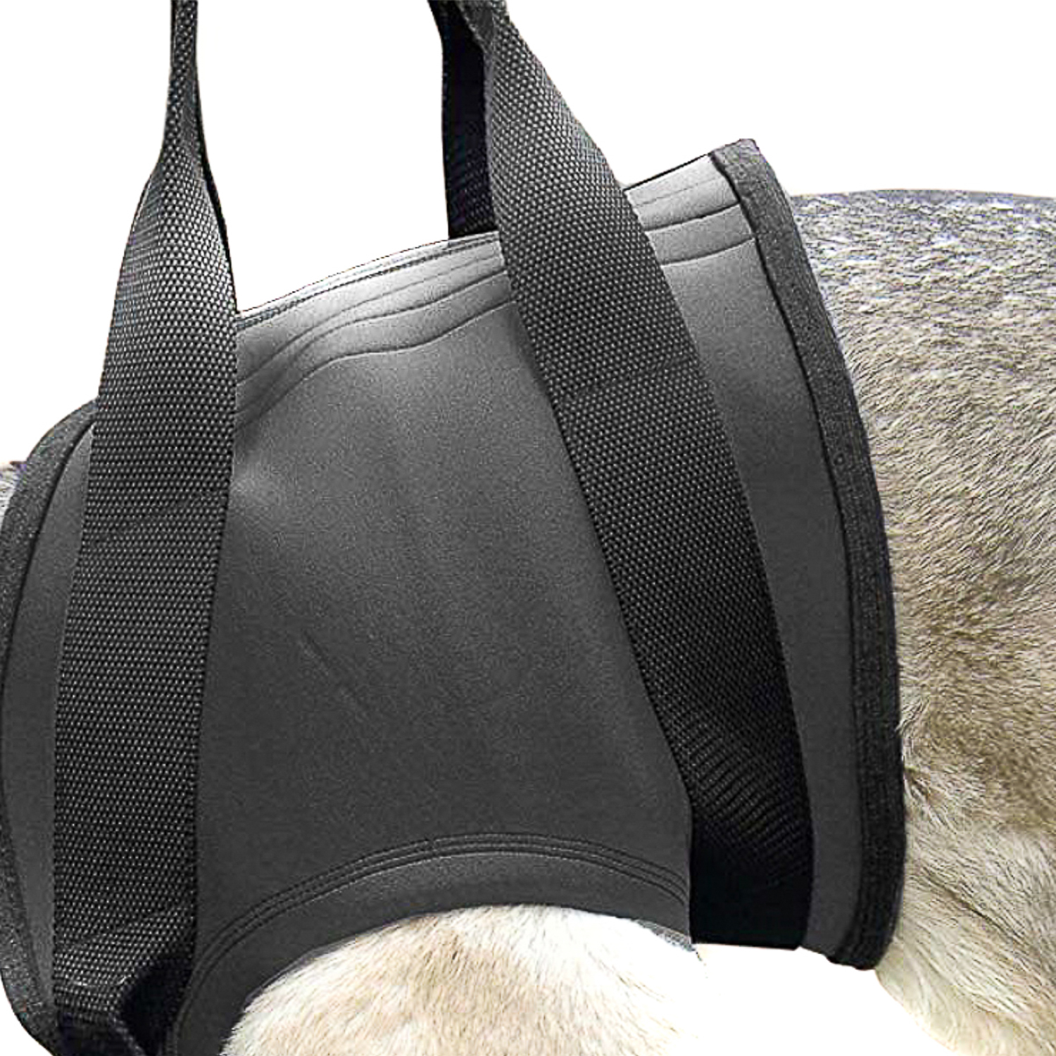 JULIUS-K9 шлейка поддерживающая для собак БЕДРА S (51-60см) неопрен, черный СКИДКА 50%