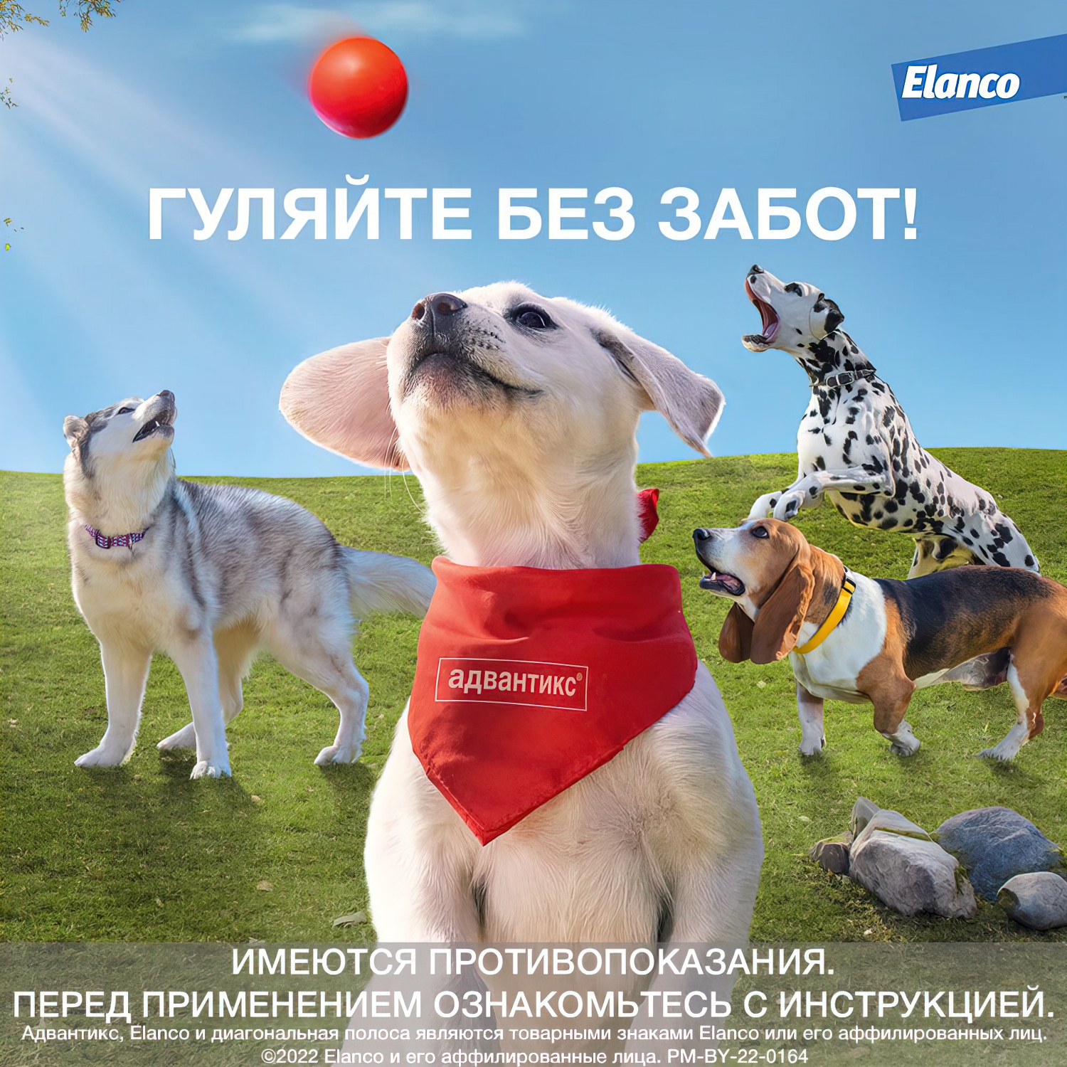 Bayer Адвантикс 250 С для собак 10-25 кг от блох, клещей и комаров (4 пипетки х 2,5 мл)