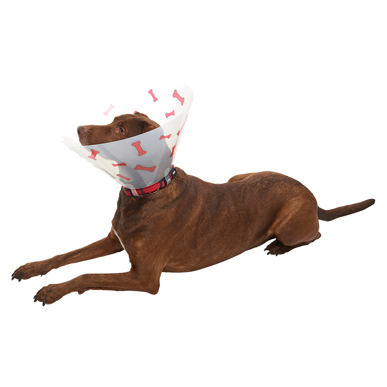 KRUUSE (из наличия) Воротник с дизайном (красные кости) 25 см СКИДКА 80%