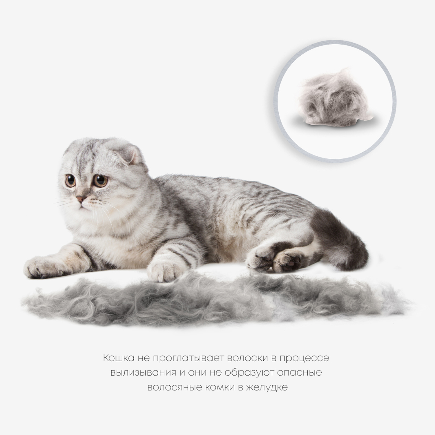 Фурминатор FURminator M/L для больших кошек c короткой шерстью