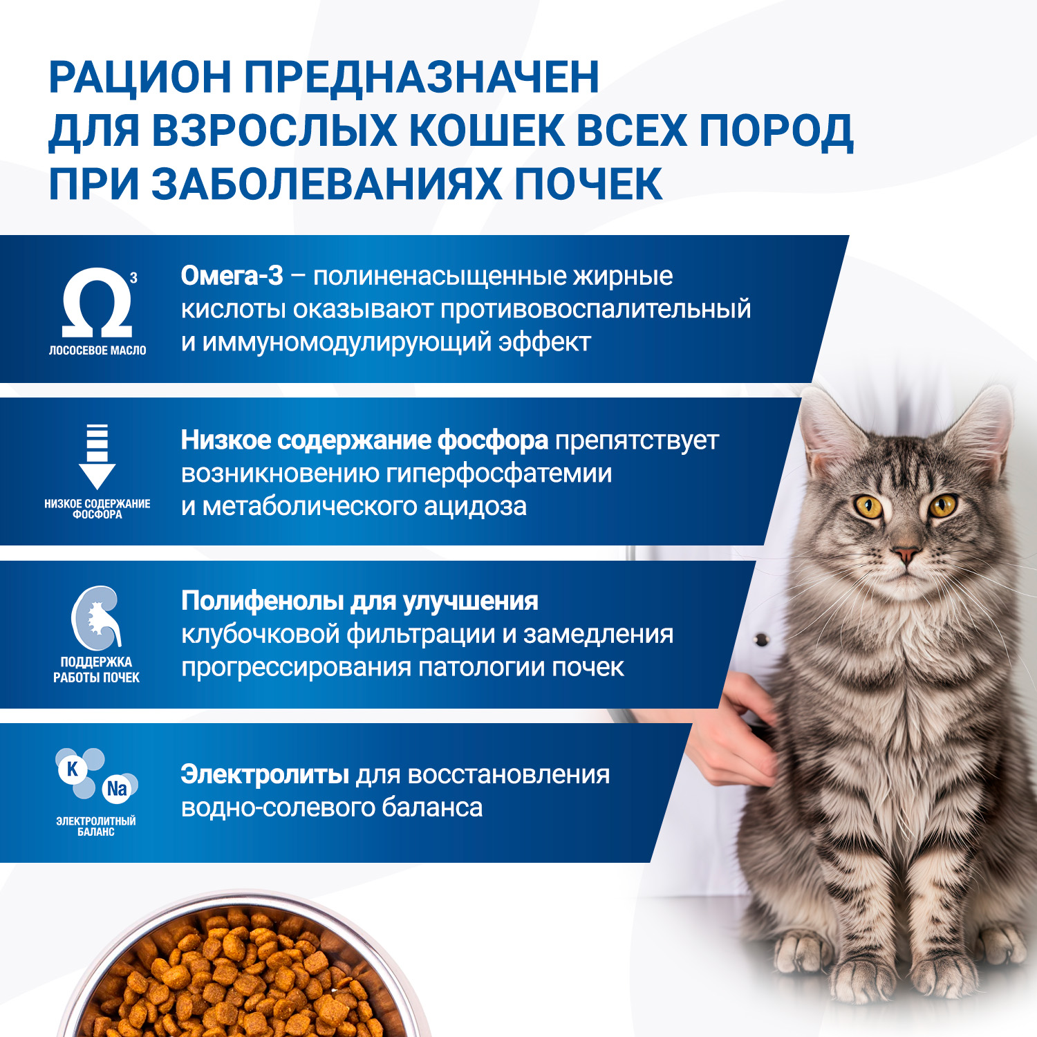 Диетический корм Monge VetSolution Cat Renal Ренал для кошек при ХПН 400 г
