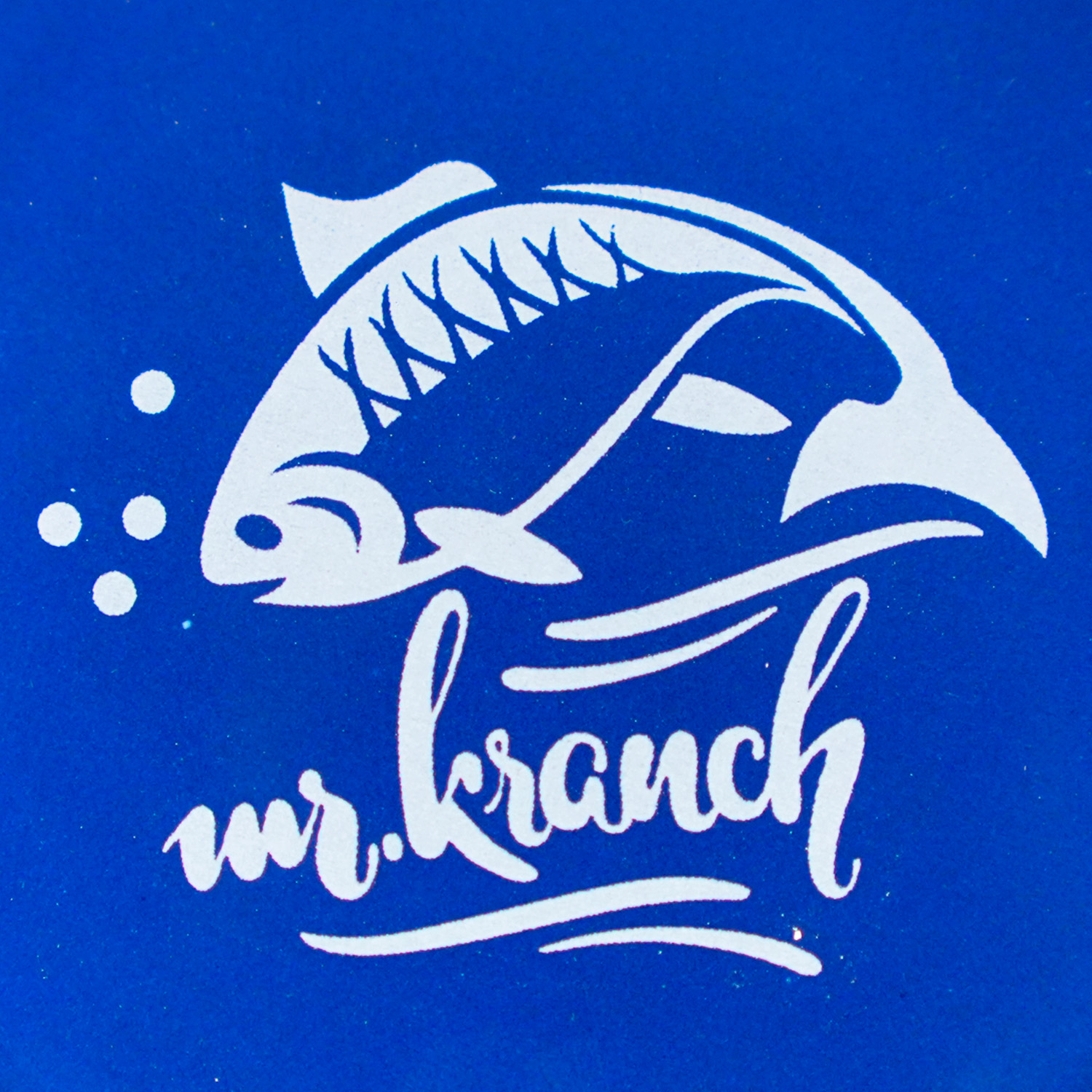 Миска Mr.Kranch керамическая для кошек 200 мл Форель синяя