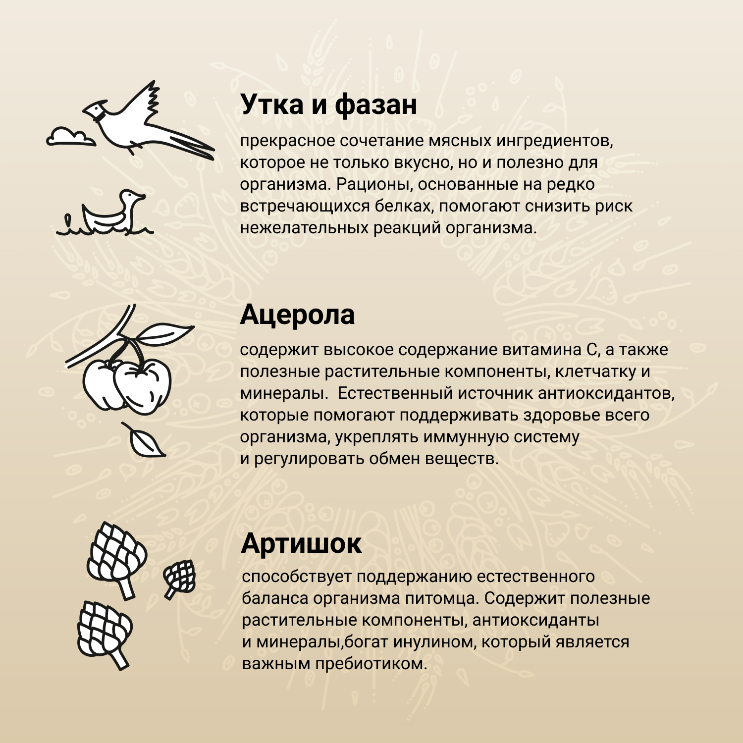 Сухой корм CRAFTIA NATURA для взрослых собак миниатюрных и мелких пород из утки с фазаном 640 г