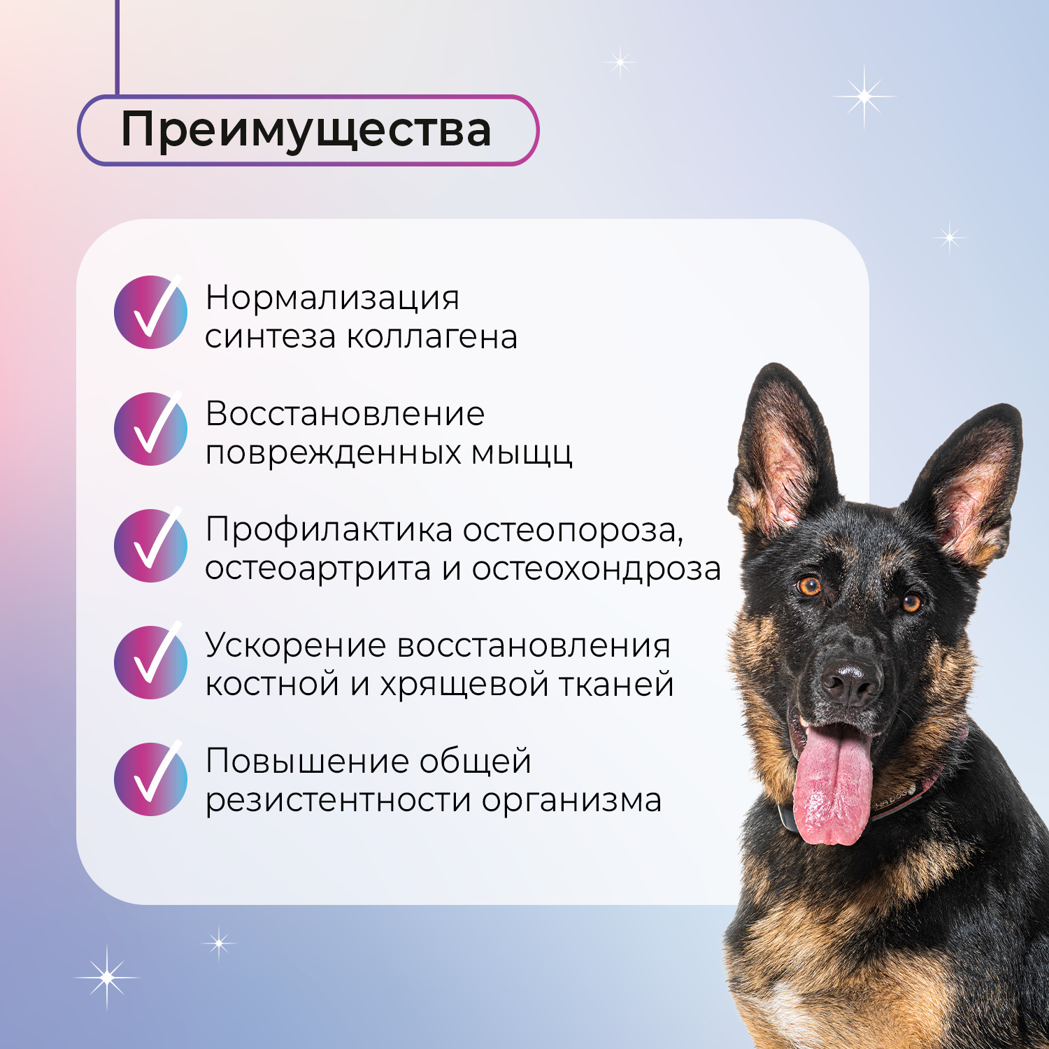 Favet Функциональное лакомство PetPantel Soft Chews для мышц и суставов для собак, 120г