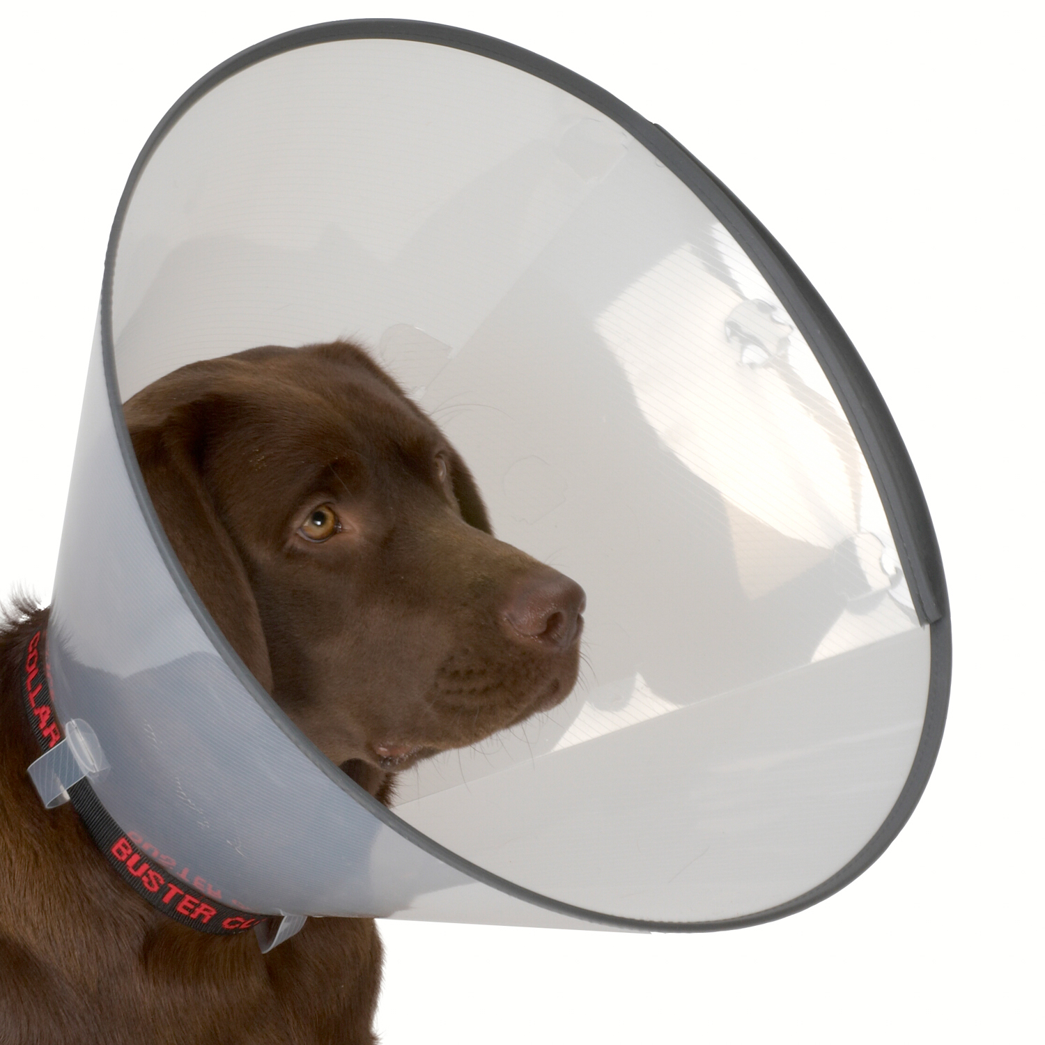 KRUUSE (из наличия) защитный воротник комфорт  7,5 см для собак СКИДКА 80%