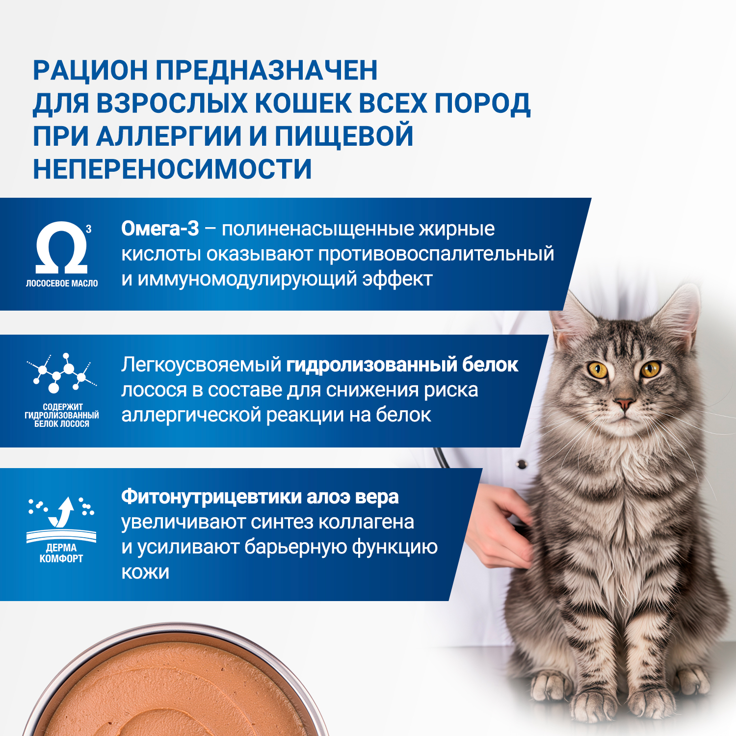 Диетический корм Monge VetSolution Cat Dermatosis Дерматозис для кошек при заболеваниях кожи 100 г
