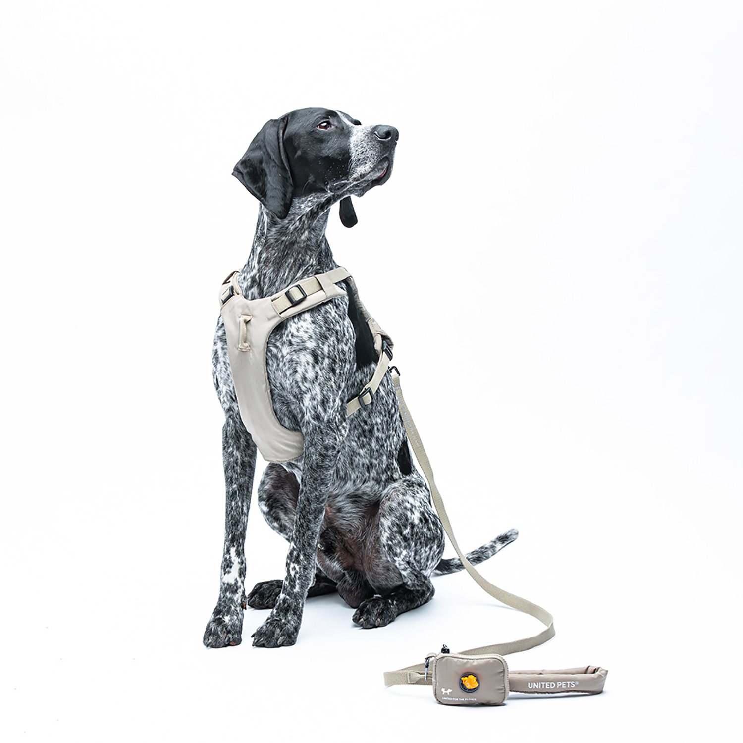 Шлейка United Pets для собак Citylife Y-образная S 15 x 45-60, бежевый