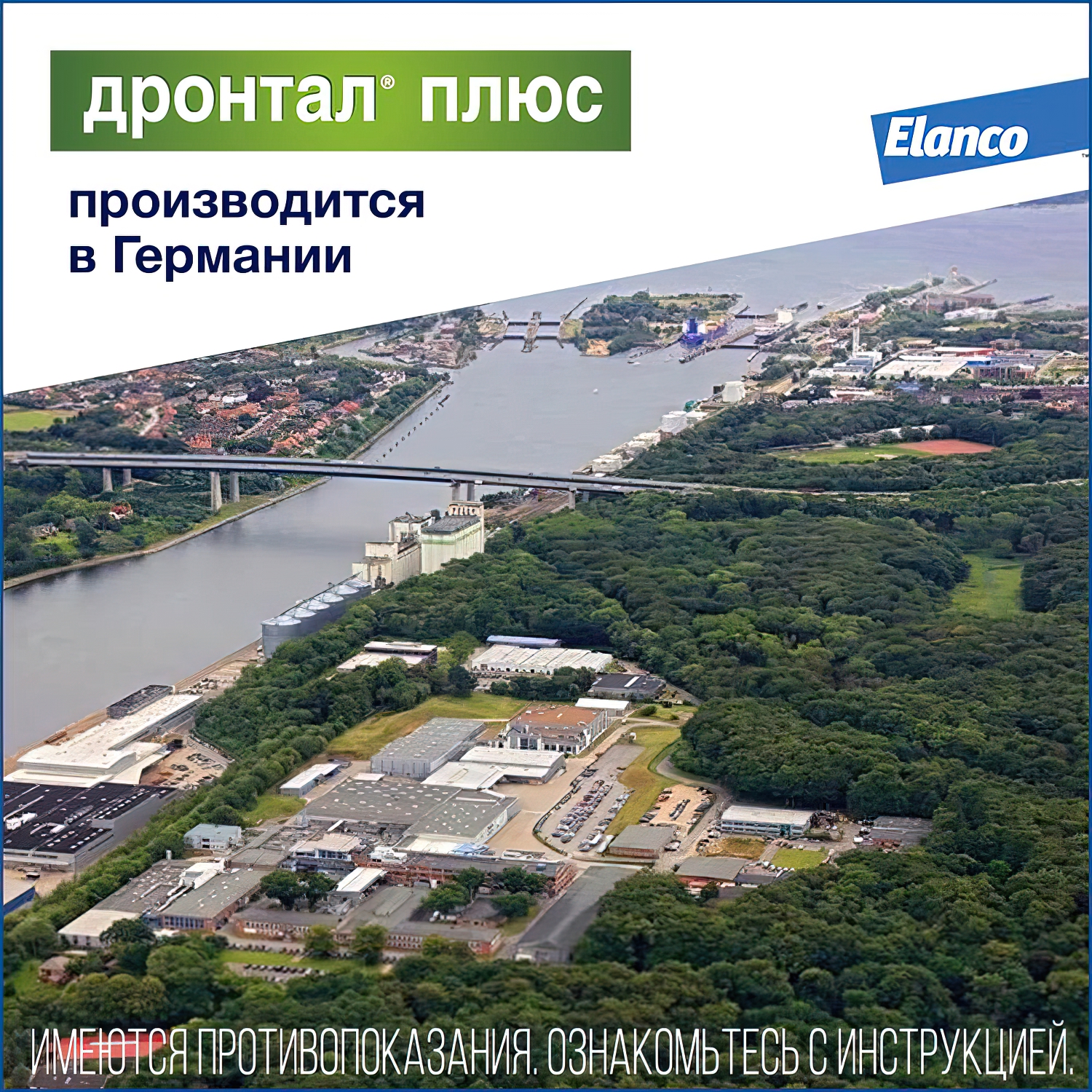 Bayer Дронтал плюс таблетки со вкусом мяса от гельминтов для собак 2 таб. (1 таб. на 10 кг)