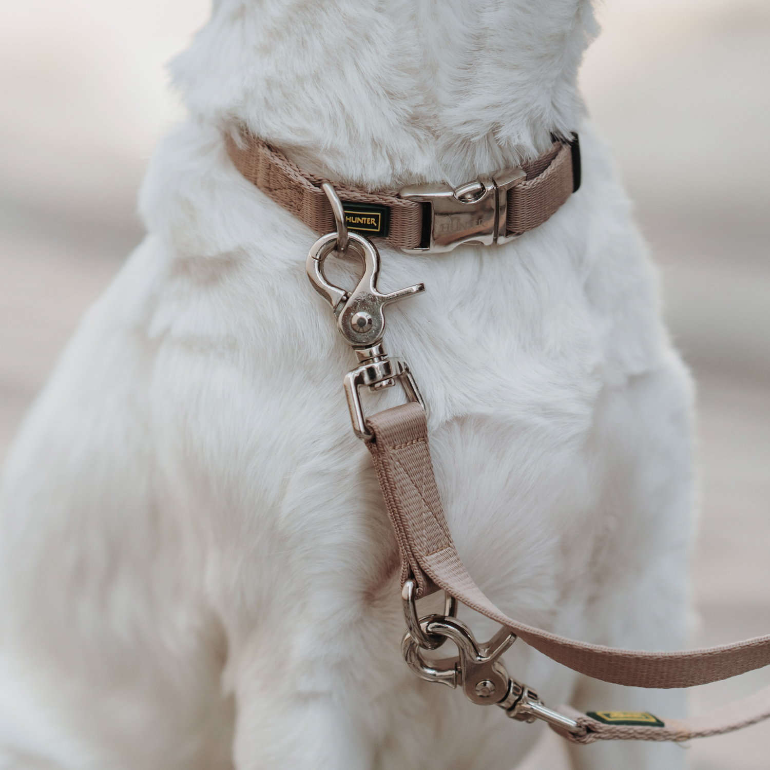 Hunter поводок-перестежка для собак Inari 25 / 200 нейлон бежевый