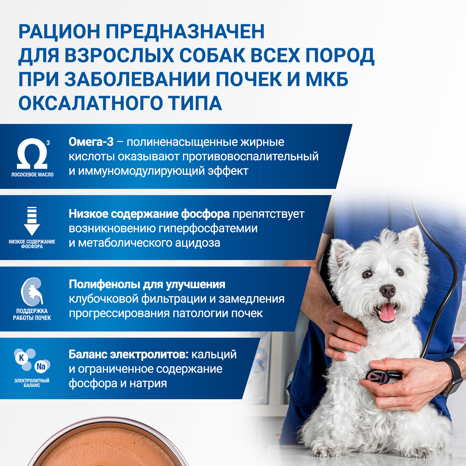 Диетический корм Monge VetSolution Dog Renal and Oxalate Ренал и Оксалат для собак при ХПН и профилактике образования уролитов оксалата кальция 150г