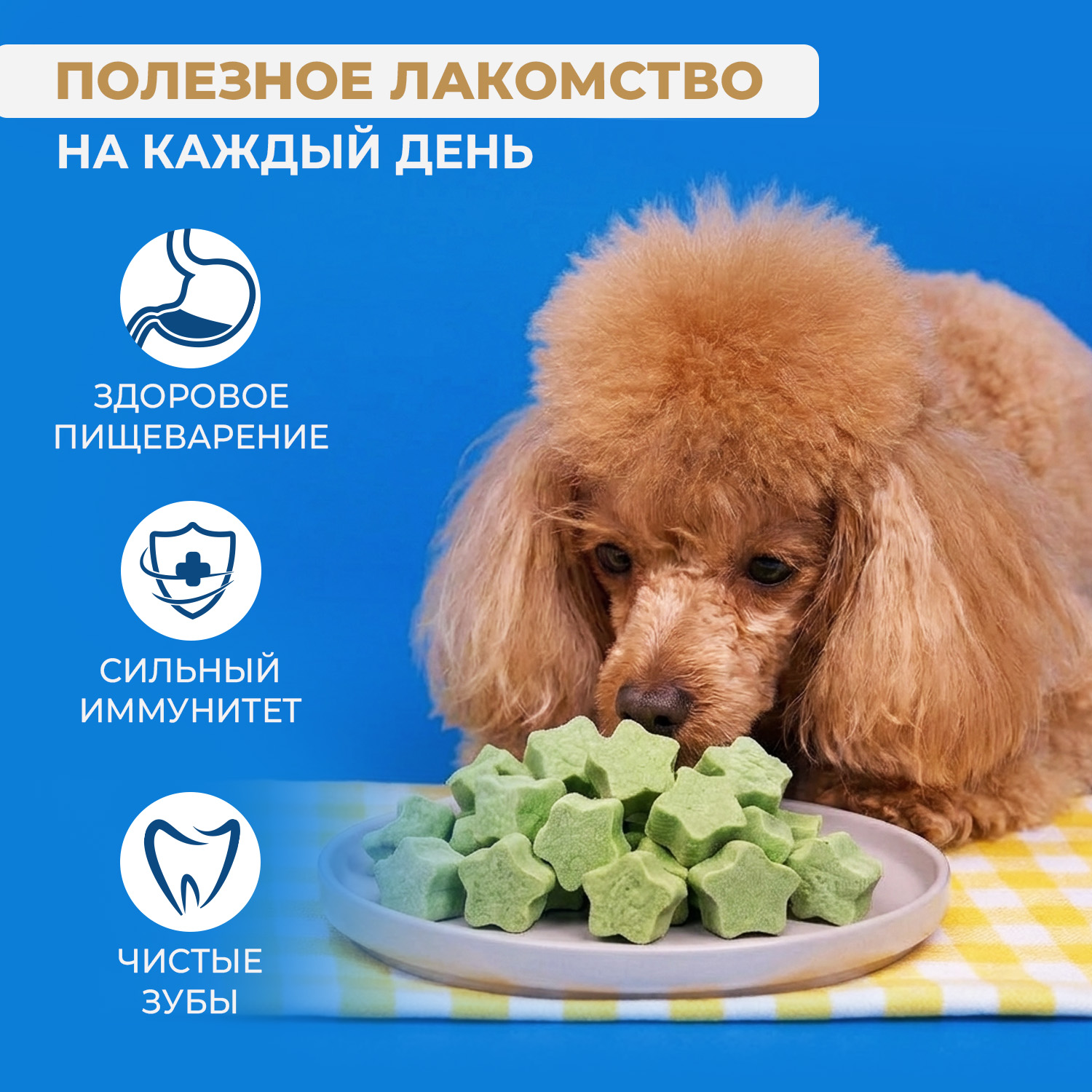 Лакомство Ranova для собак сублимированное Звёздочка для зубов с курицей и морскими водорослями, 45 г