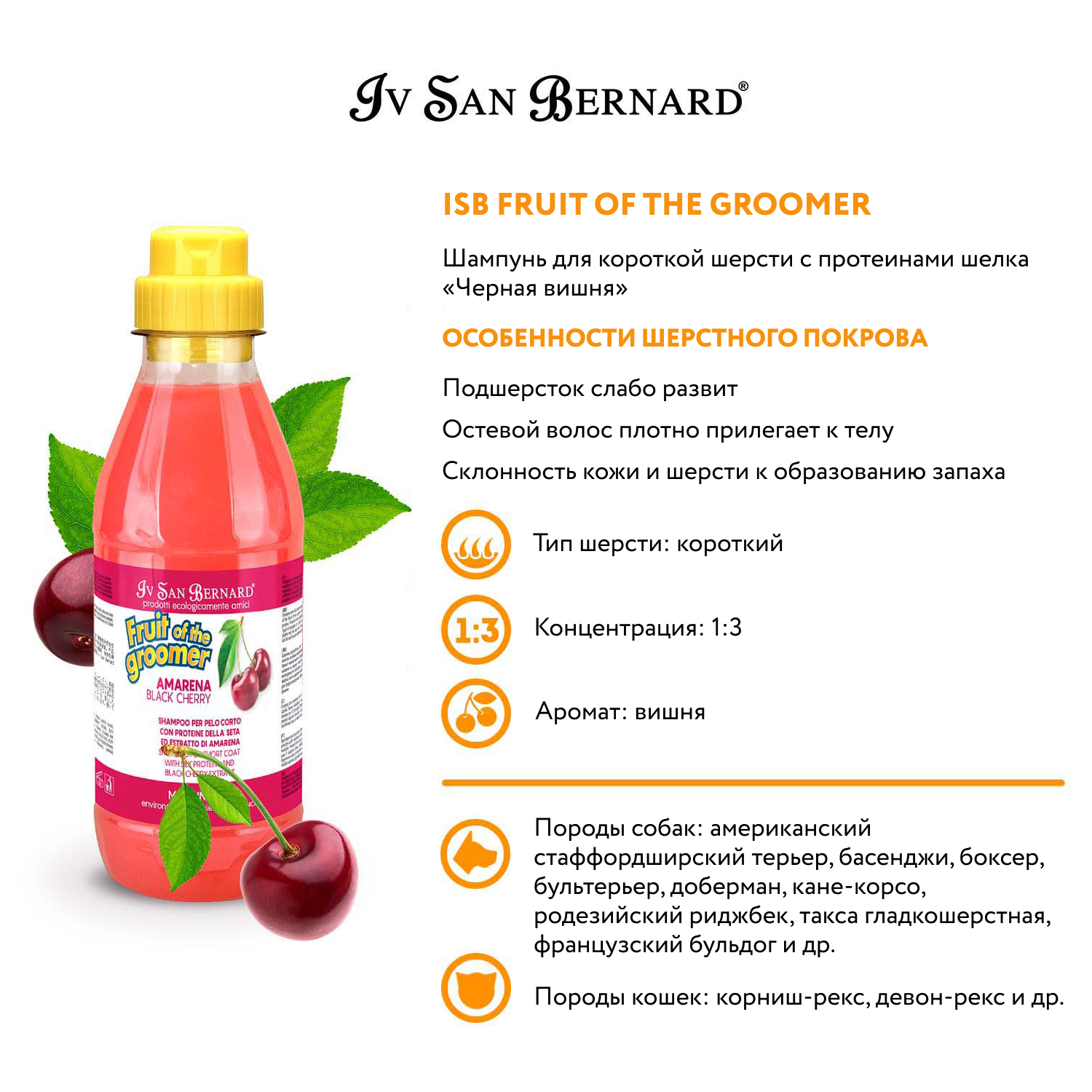 ISB Fruit of the Groomer Black Cherry Шампунь для короткой шерсти с протеинами шелка 500 мл