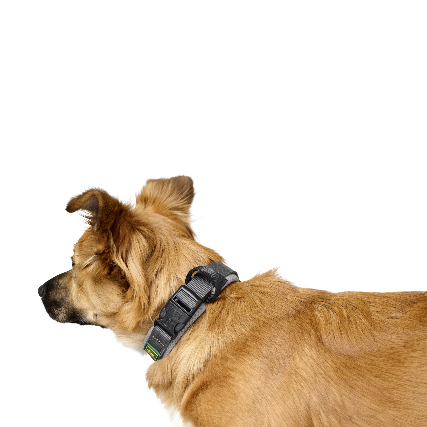 Ошейник Hunter Maldon для собак 45-55 см, размер L, серый