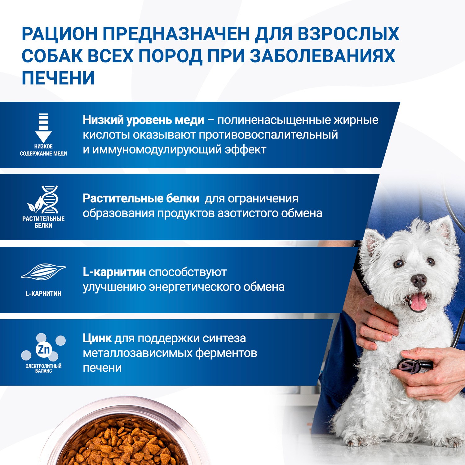 Диетический корм Monge VetSolution Dog Hepatic Гепатик для собак при заболеваниях печени 12 кг