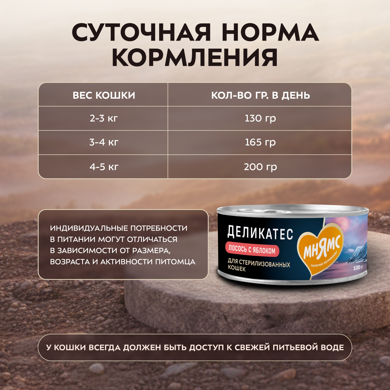 Влажный корм Мнямс Деликатес Лосось с яблоком для стерилизованных кошек "Паштет по-норвежски" 100 г