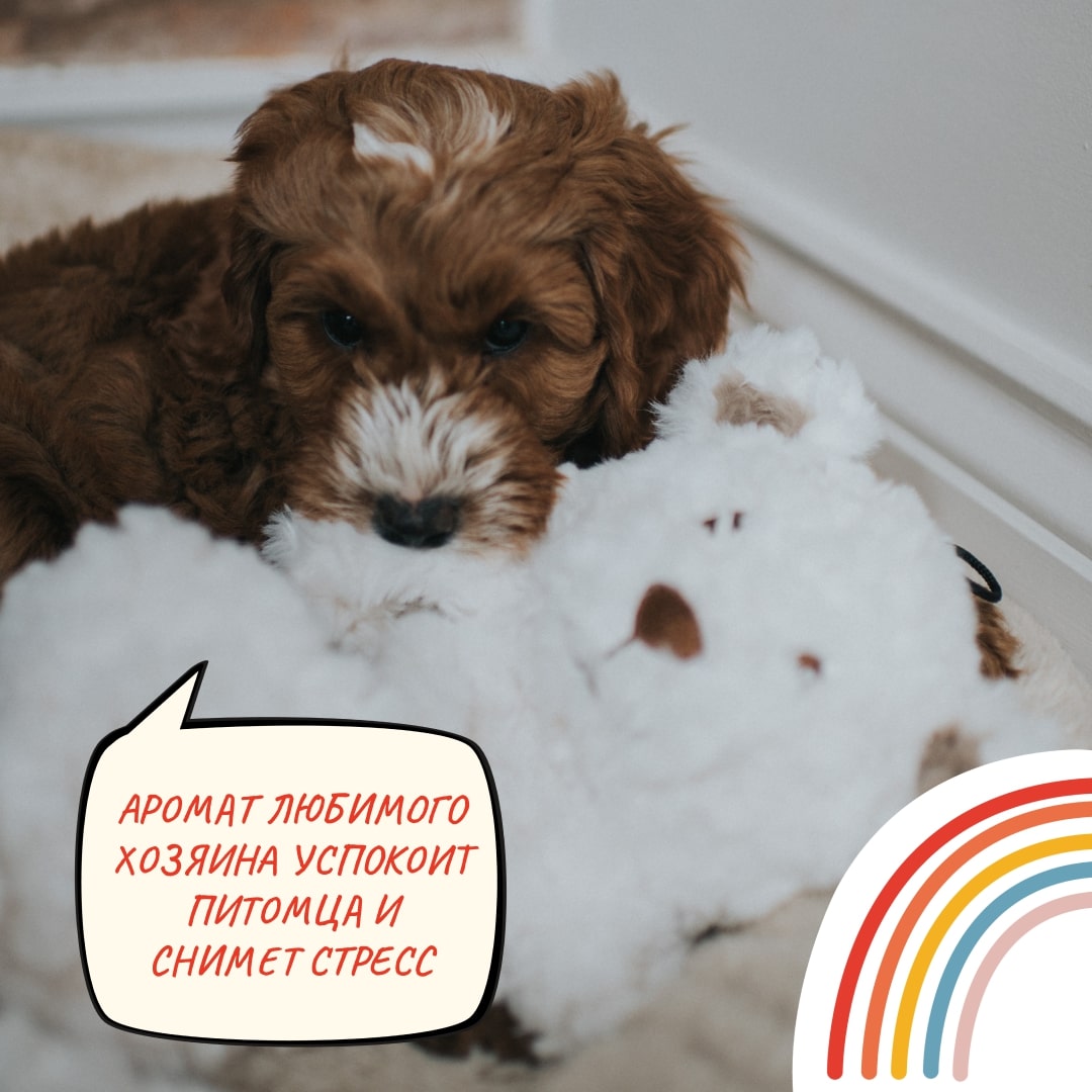 Игрушка MY DOG для собак Мишка-шуршалка с кармашком 38 см