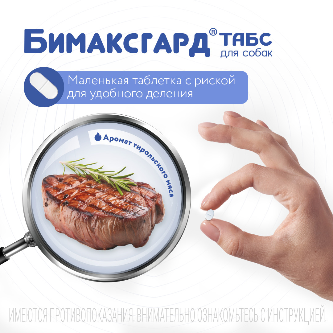 Бимаксгард® ТАБС антигельминтный препарат для щенков и маленьких собак, 2 таб.