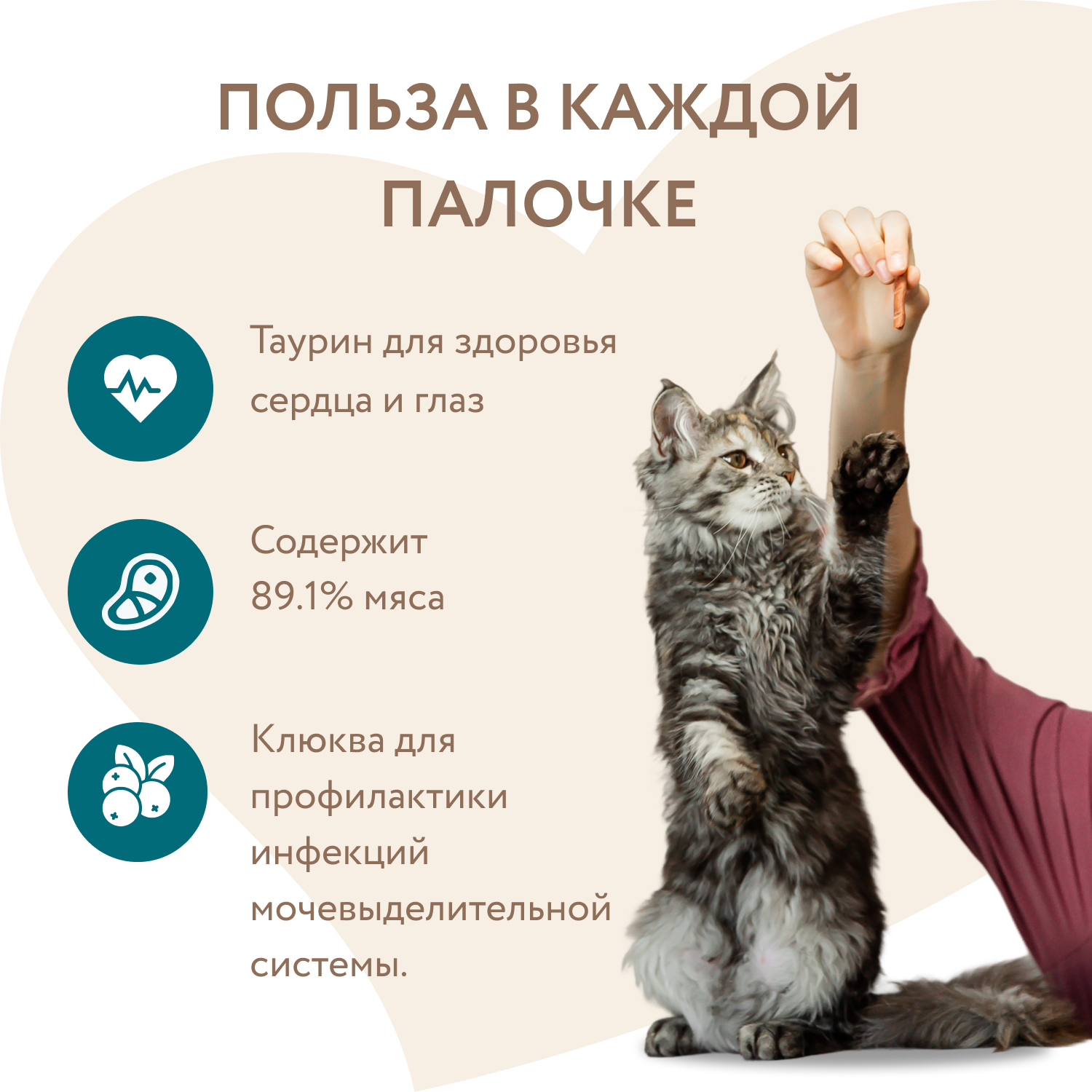 Лакомство Мнямс лакомые палочки для стерилизованных кошек из индейки и цыпленка 10х5 г