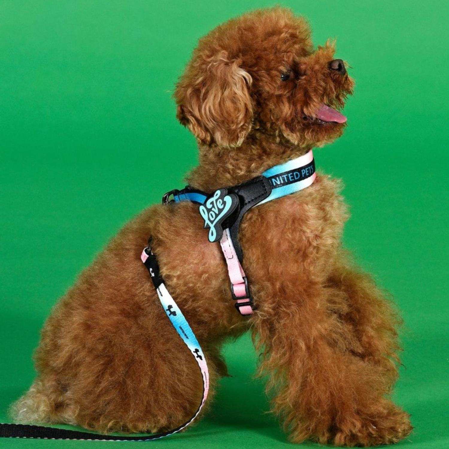 Шлейка United Pets для собак Complete me 1.5 - XS 34-42, розово-голубой тай-дай