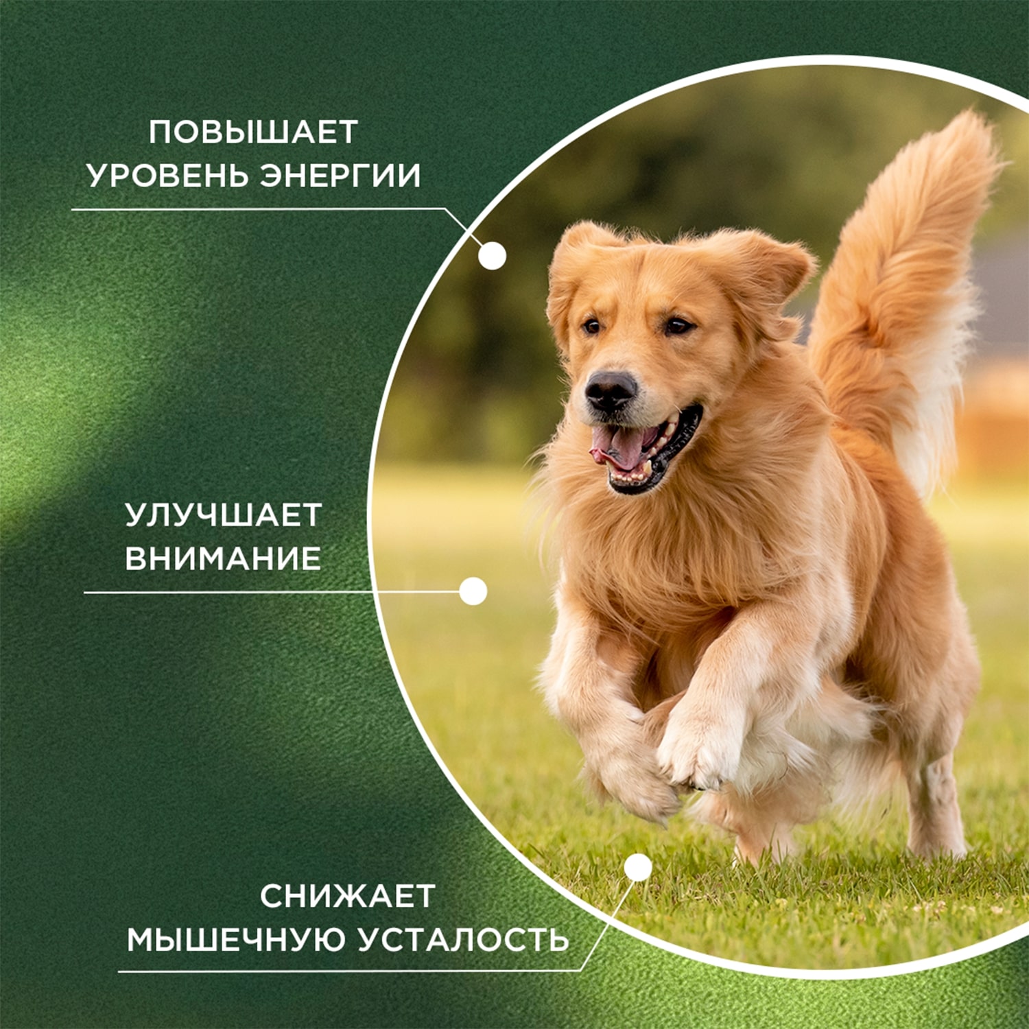 ProPhyto Энерджи Буст, 30 таблеток