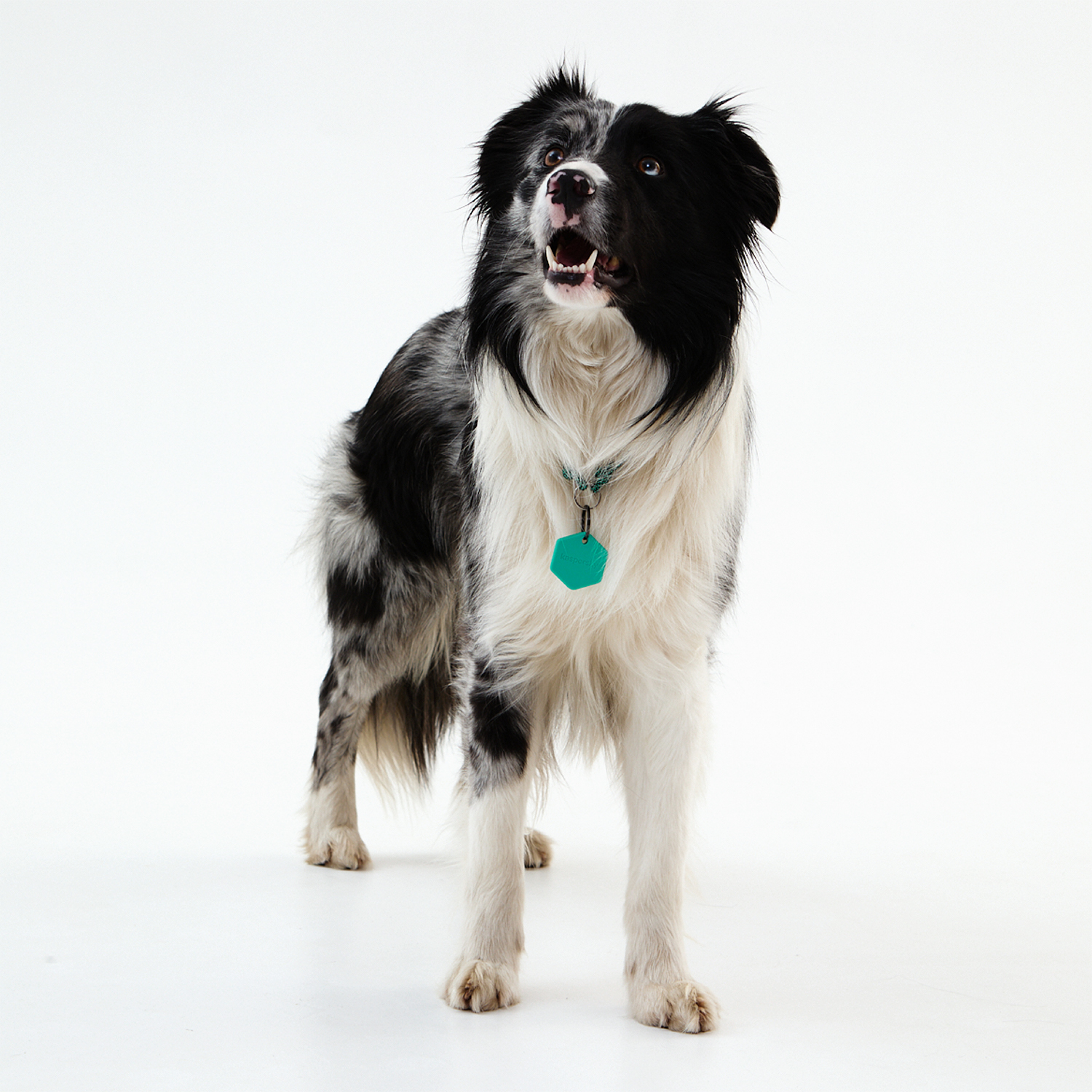 Умный трекер Kaspersky Tag с силиконовым чехлом