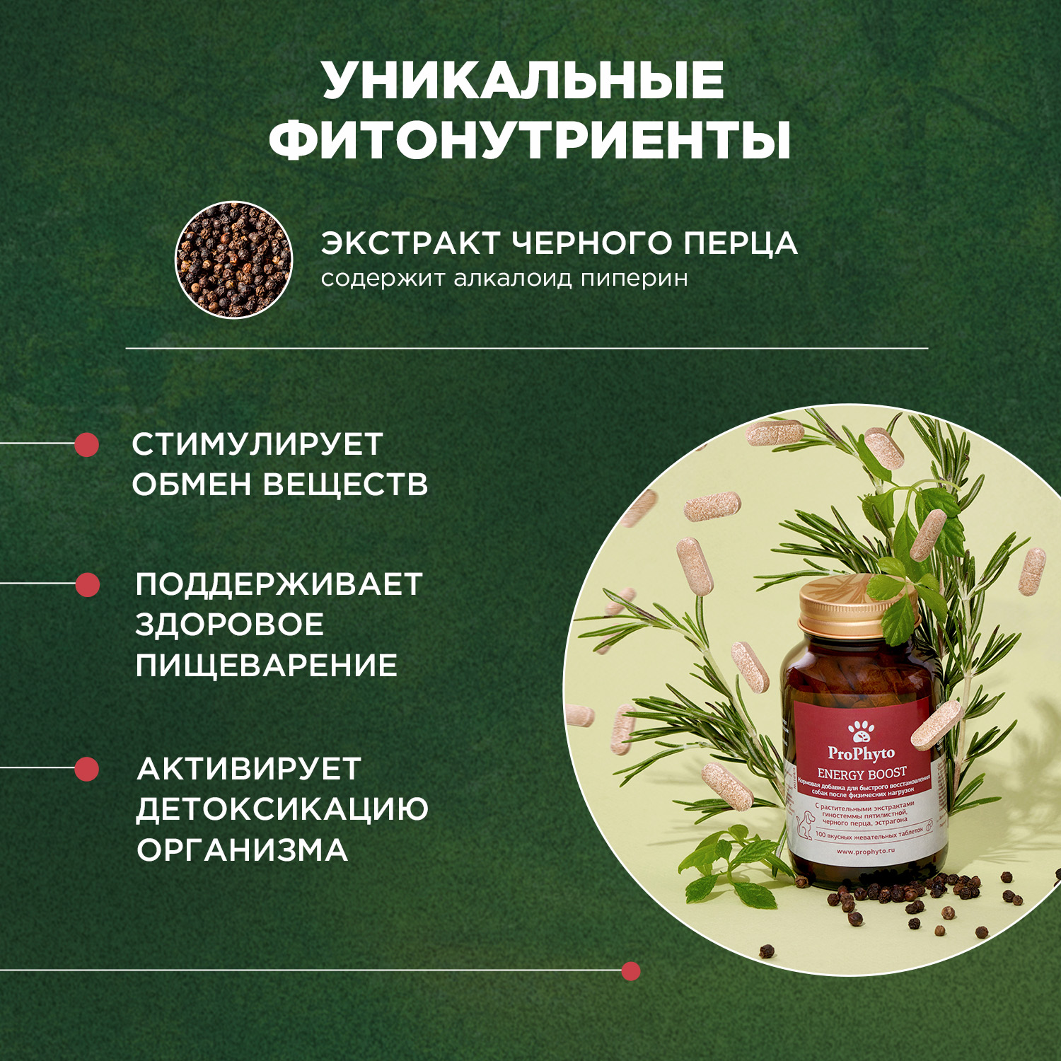 ProPhyto Энерджи Буст, 30 таблеток
