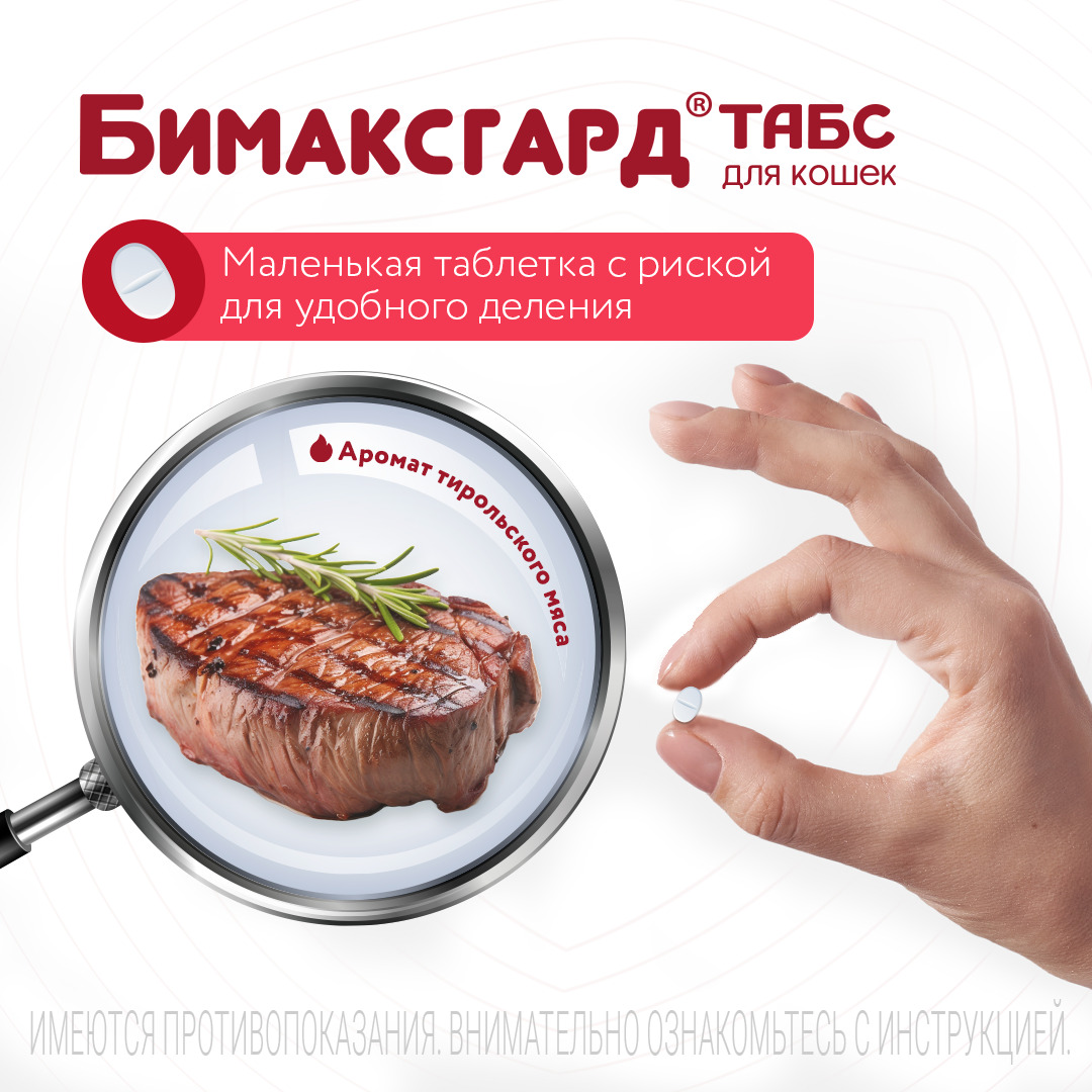 Бимаксгард® ТАБС антигельминтный препарат для крупных кошек, 2 таб.