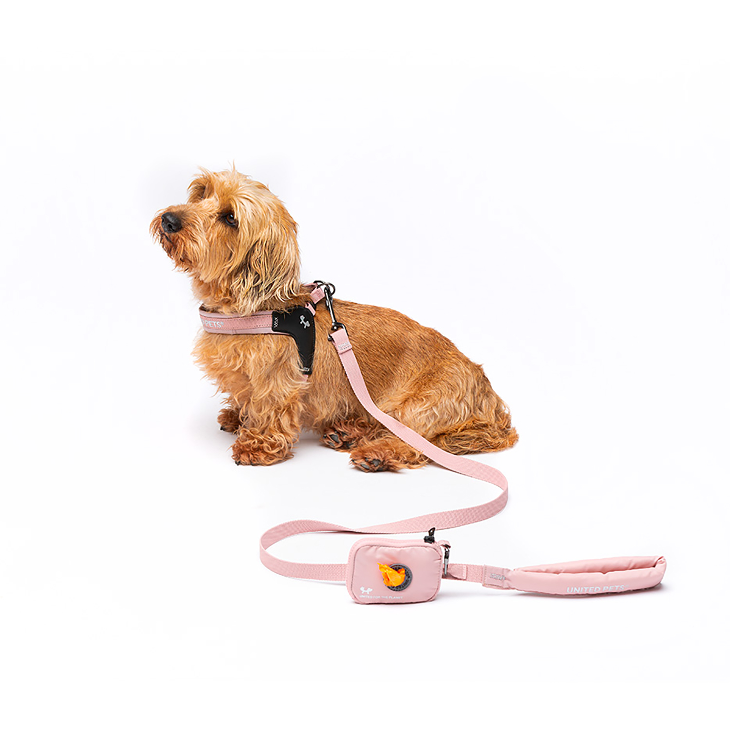 Шлейка United Pets для собак Citylife M 20 x 36-52, пыльная роза